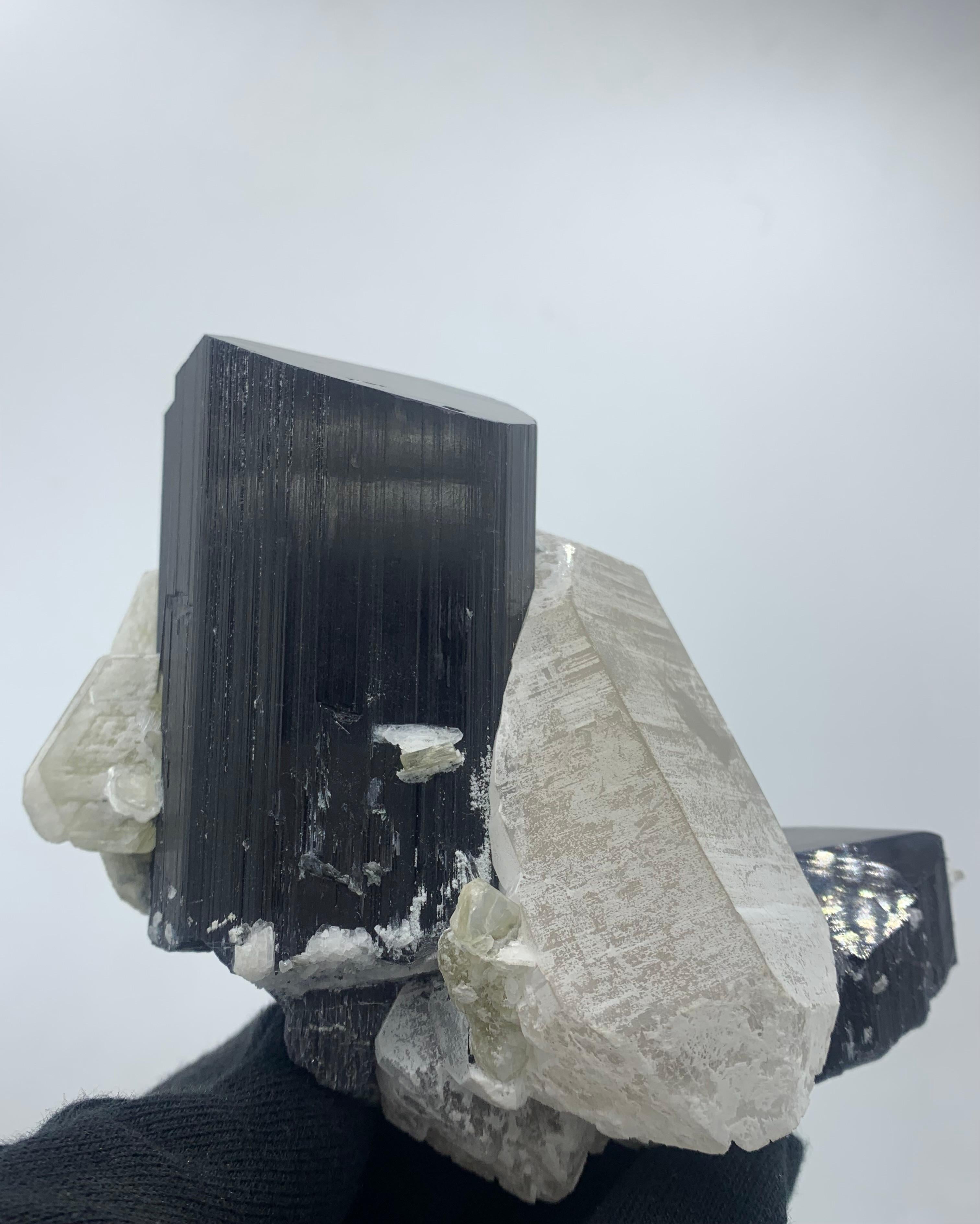 Other 911 Gram Exquisite Black Tourmaline Specimen Attached With Quartz From Pakistan  For Sale