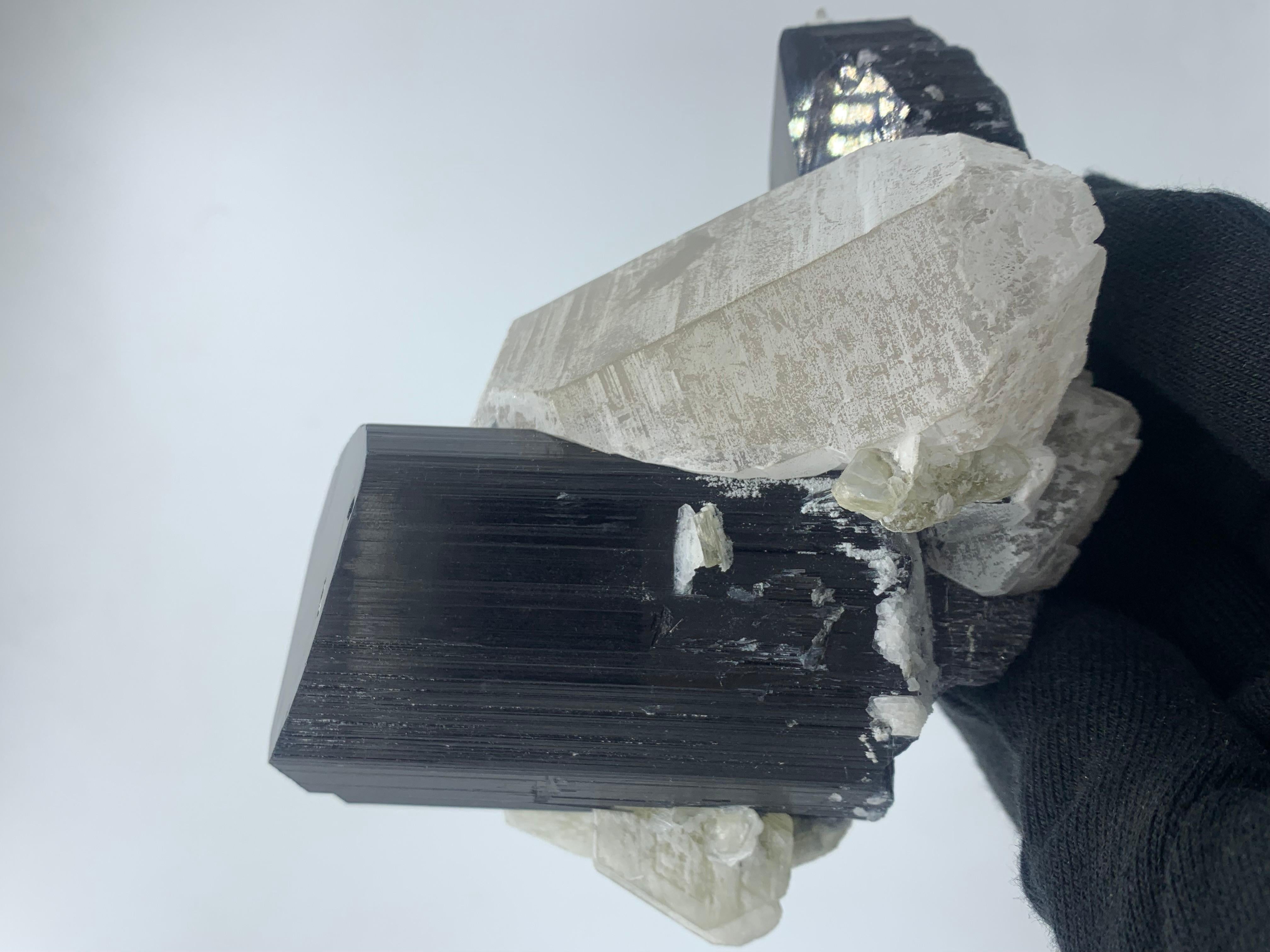 18th Century and Earlier 911 Gram Exquisite Black Tourmaline Specimen Attached With Quartz From Pakistan For Sale