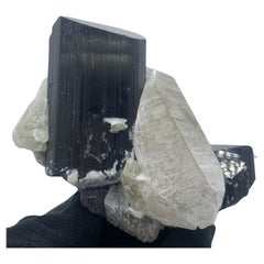 Exquise tourmaline noire de 911 grammes attachée à un quartz du Pakistan 