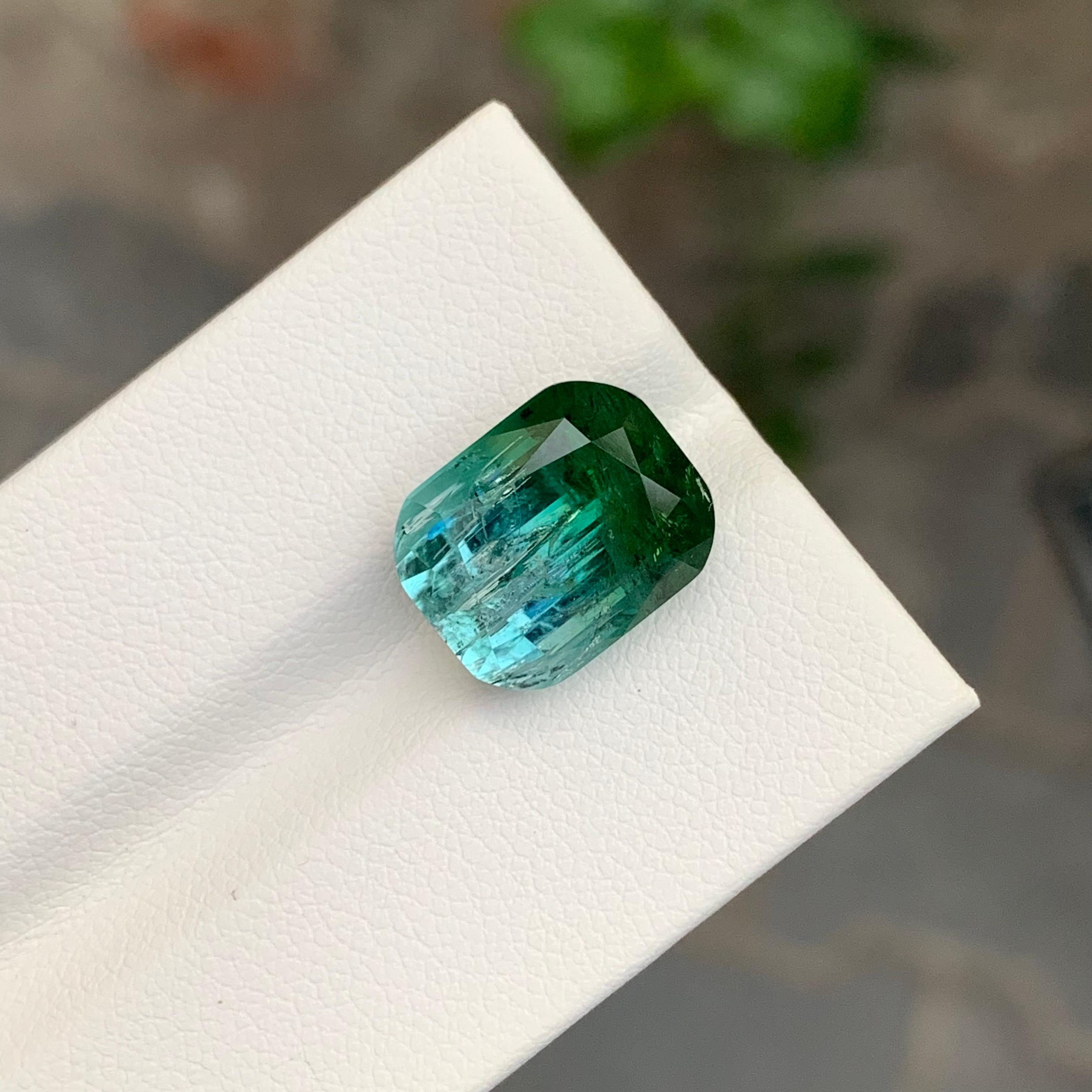9.20 Carat Natural Loose Bi Colour Tourmaline Cushion Shape Gemstone (pierre précieuse en forme de coussin) en vente 4