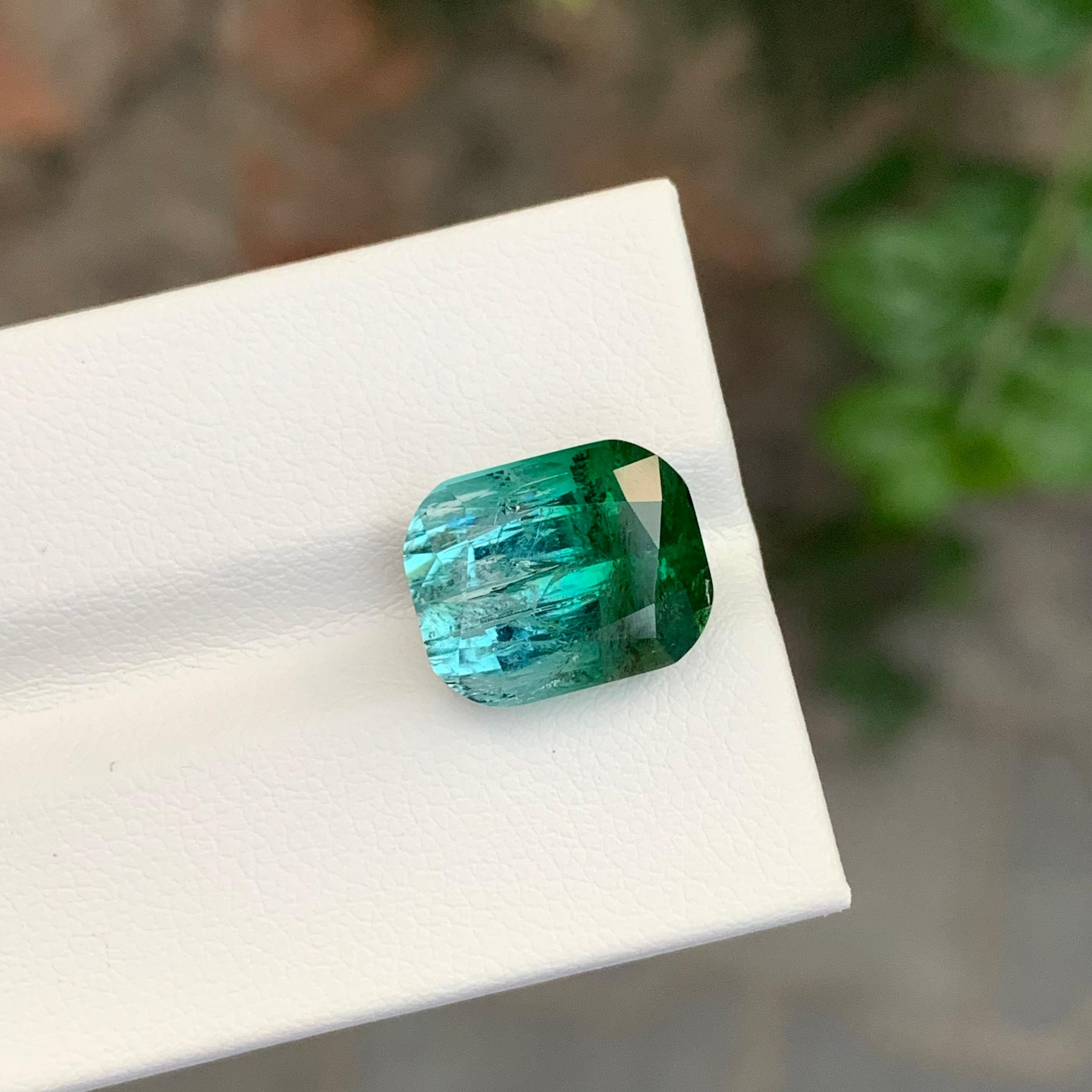 9.20 Carat Natural Loose Bi Colour Tourmaline Cushion Shape Gemstone (pierre précieuse en forme de coussin) en vente 5