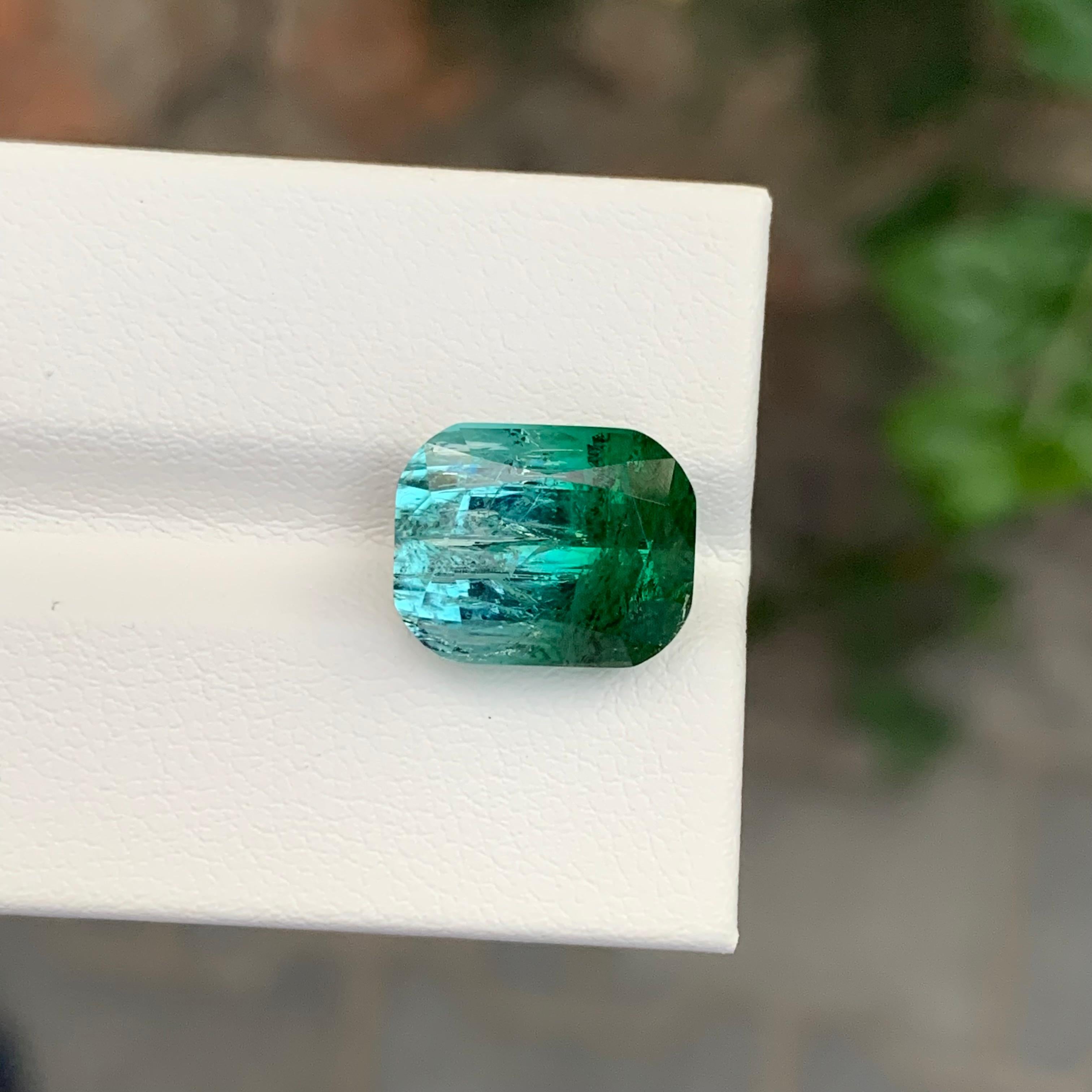 9.20 Carat Natural Loose Bi Colour Tourmaline Cushion Shape Gemstone (pierre précieuse en forme de coussin) en vente 6