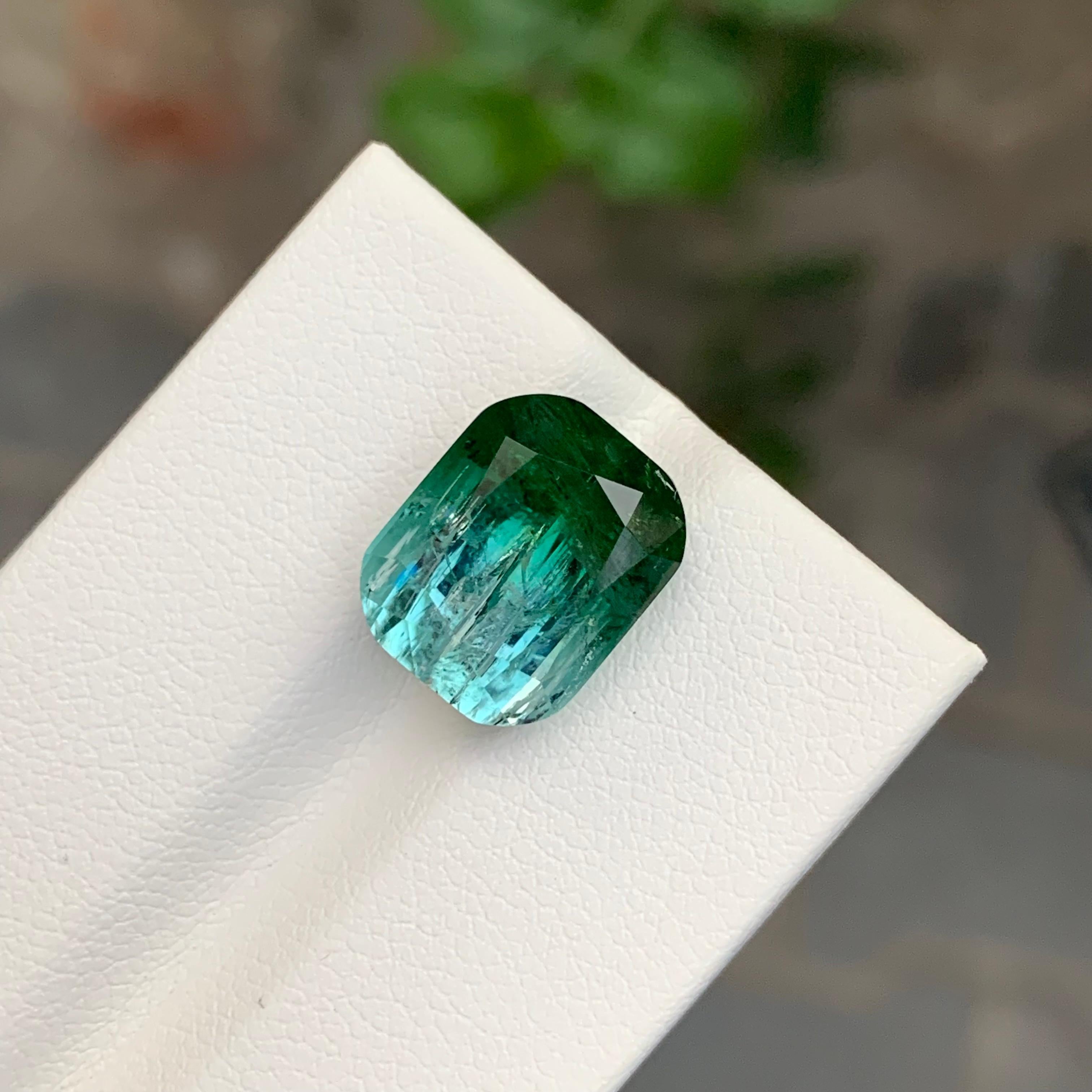 9.20 Carat Natural Loose Bi Colour Tourmaline Cushion Shape Gemstone (pierre précieuse en forme de coussin) en vente 1