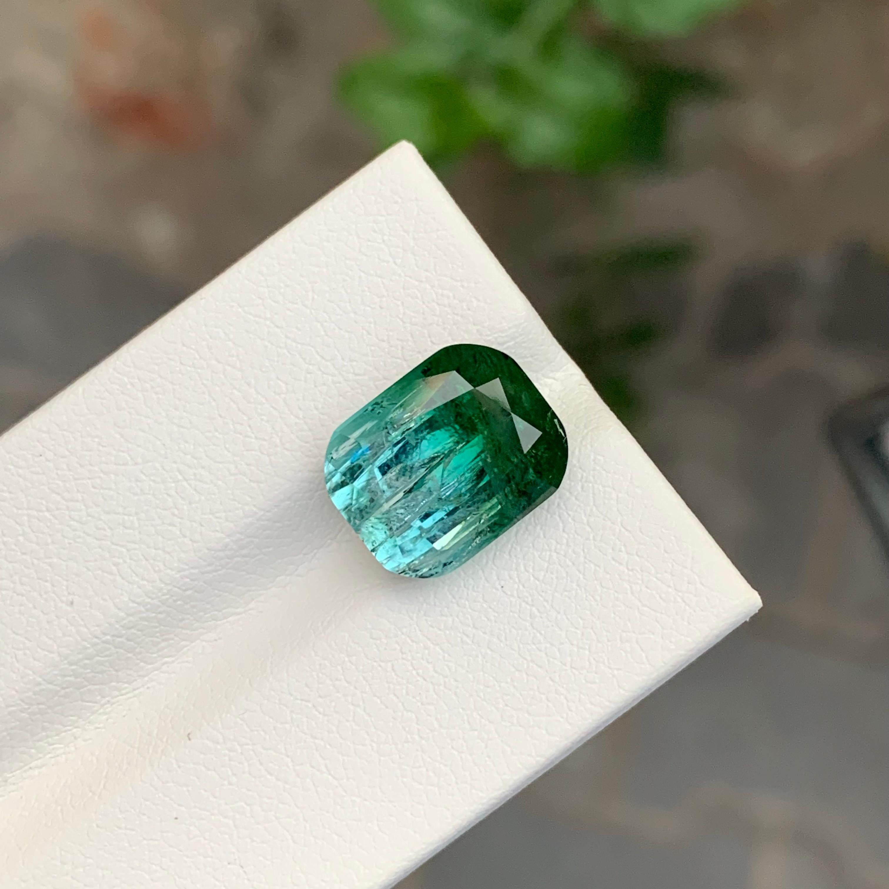 9.20 Carat Natural Loose Bi Colour Tourmaline Cushion Shape Gemstone (pierre précieuse en forme de coussin) en vente 2