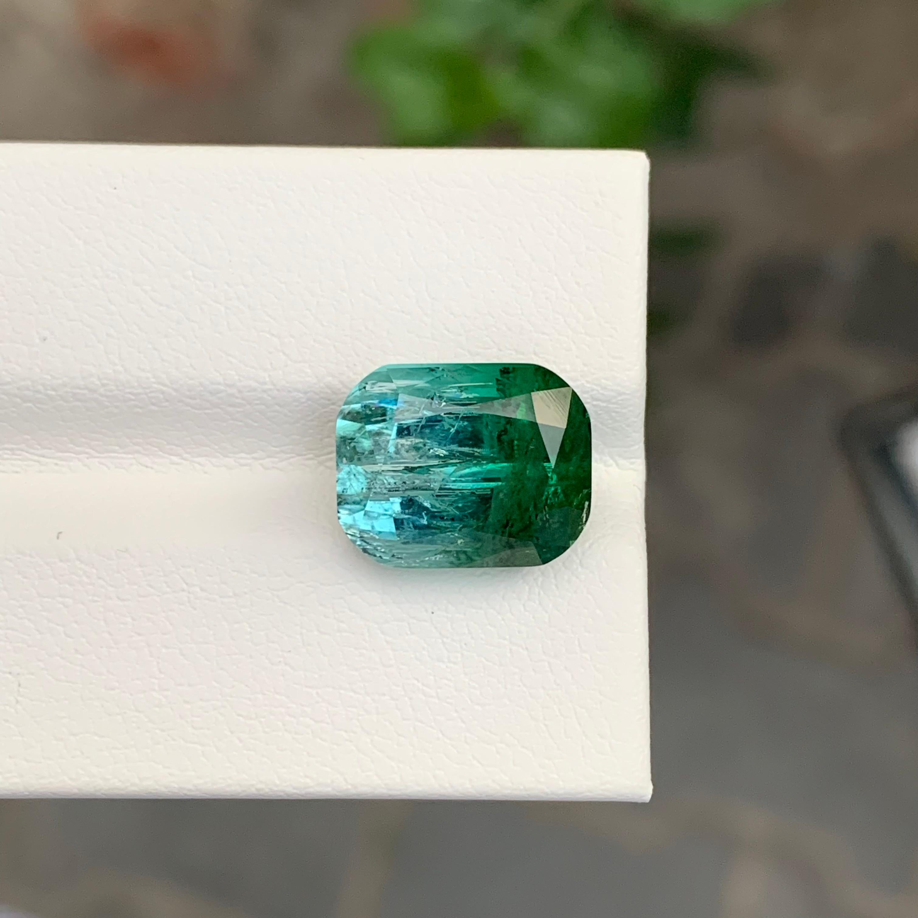 9.20 Carat Natural Loose Bi Colour Tourmaline Cushion Shape Gemstone (pierre précieuse en forme de coussin) en vente 3