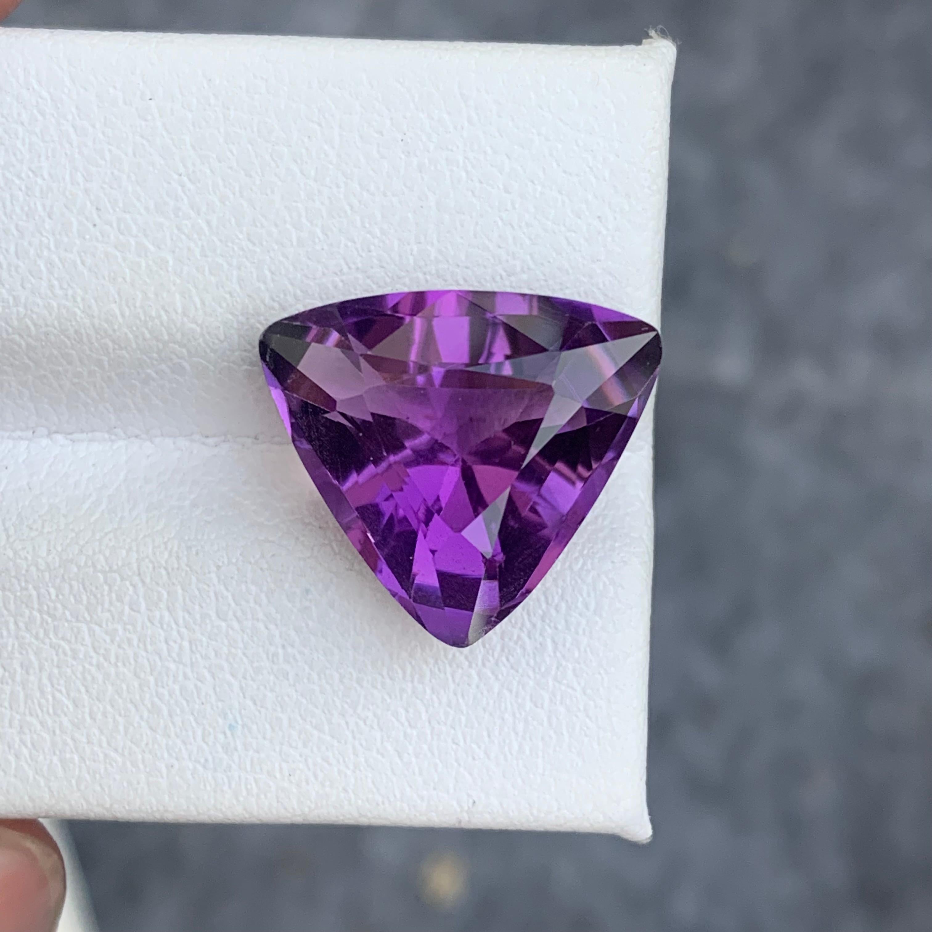9.20 Carat Natural Purple Amethyst Gemstone Trilliant Cut from Brazil Mine (Améthyste violette naturelle taillée en brillant de la mine du Brésil) en vente 4