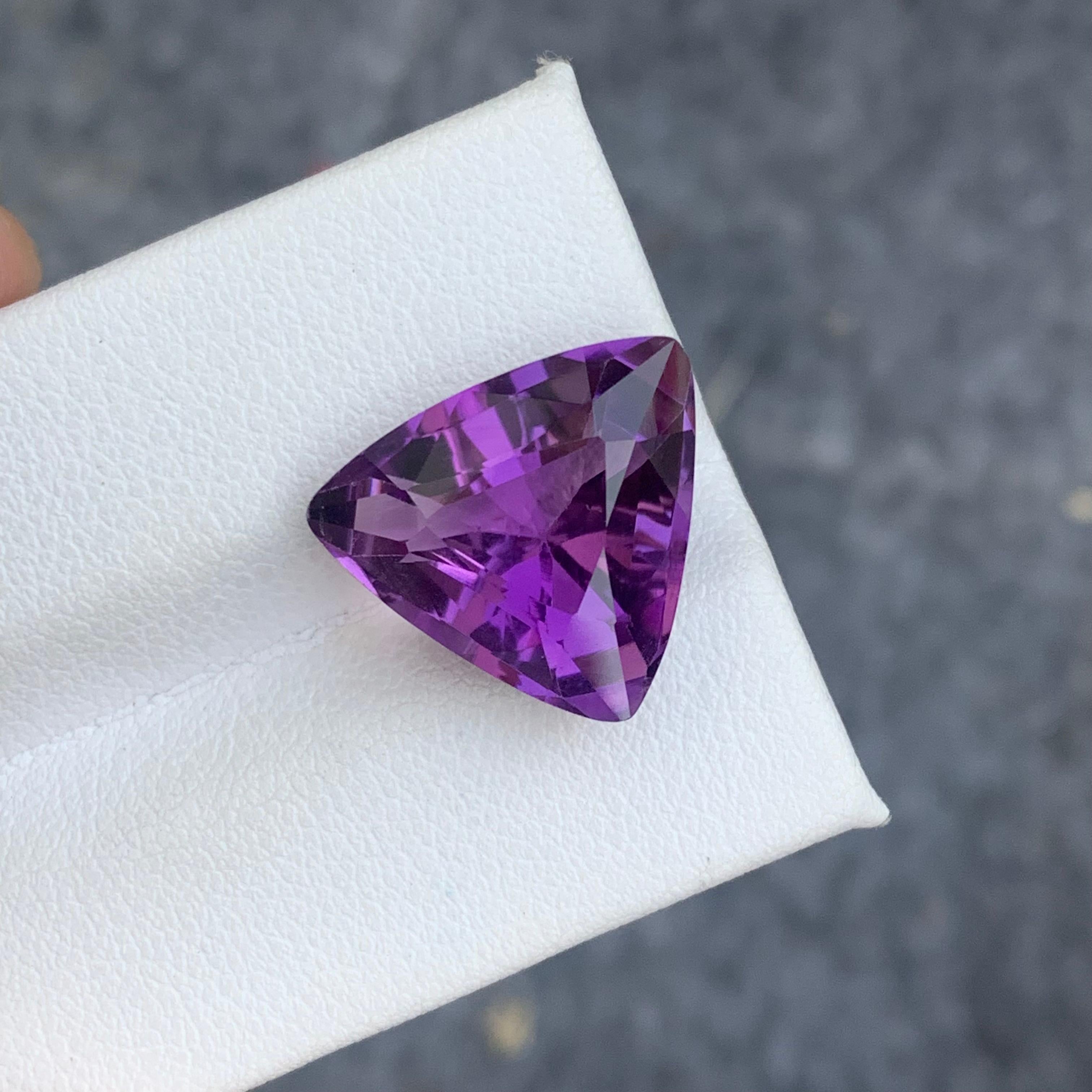 9.20 Carat Natural Purple Amethyst Gemstone Trilliant Cut from Brazil Mine For Sale 1