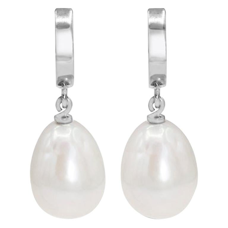 925 Silver Elegant Dangle Earrings