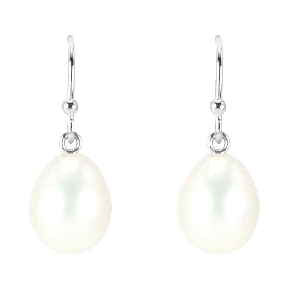 Sterling Silver Rainbow Titanium Druzy Dangle Drop Earrings 925