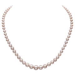 .925 Sterling Silver Clasp Freshwater Pink Graduated Cultured Pearl Necklace