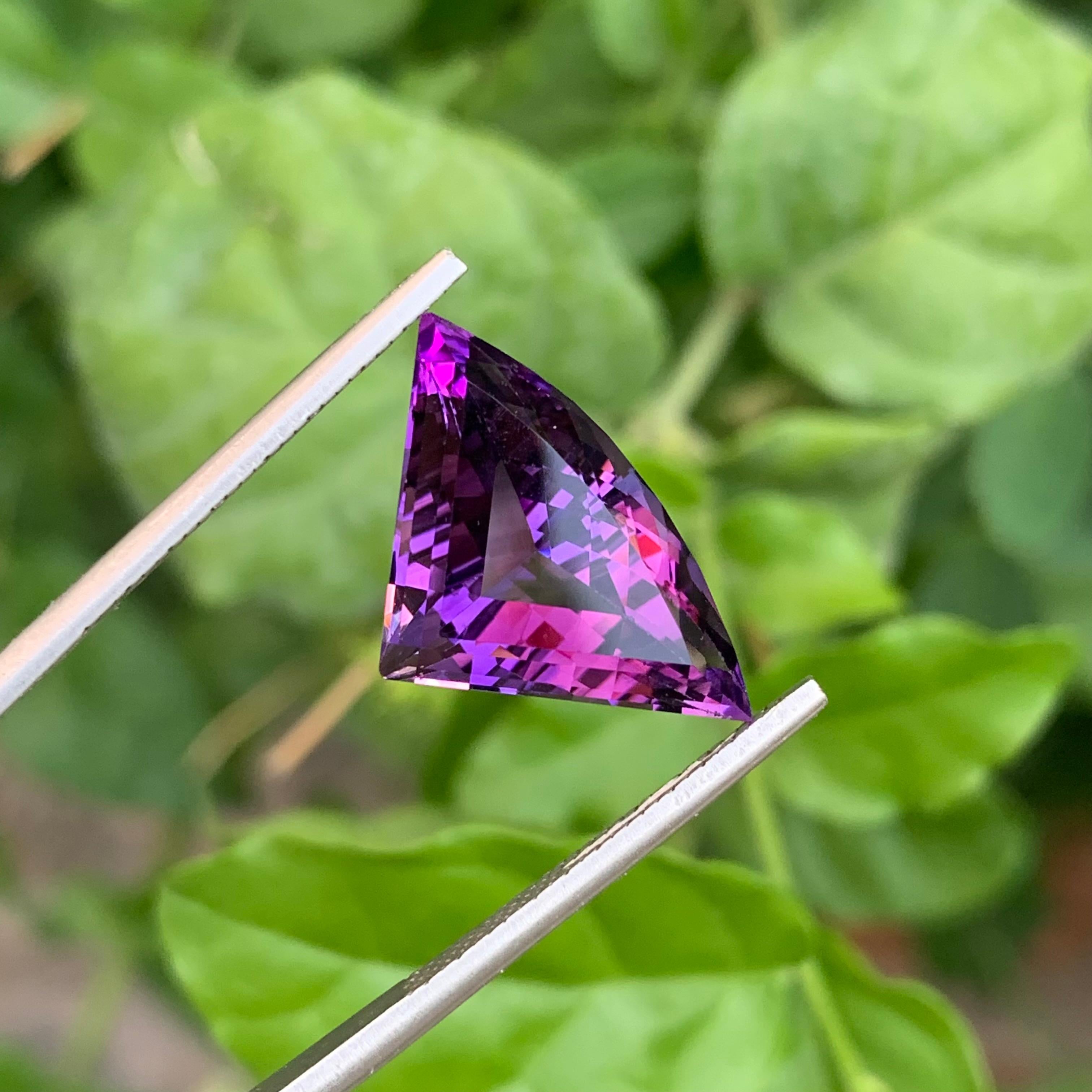 9.35 Carat Natural Loose Bat Shape Amethyst Gemstone From Brazilian Mine (Améthyste en forme de chauve-souris en vrac de 9.35 carats) en vente 5