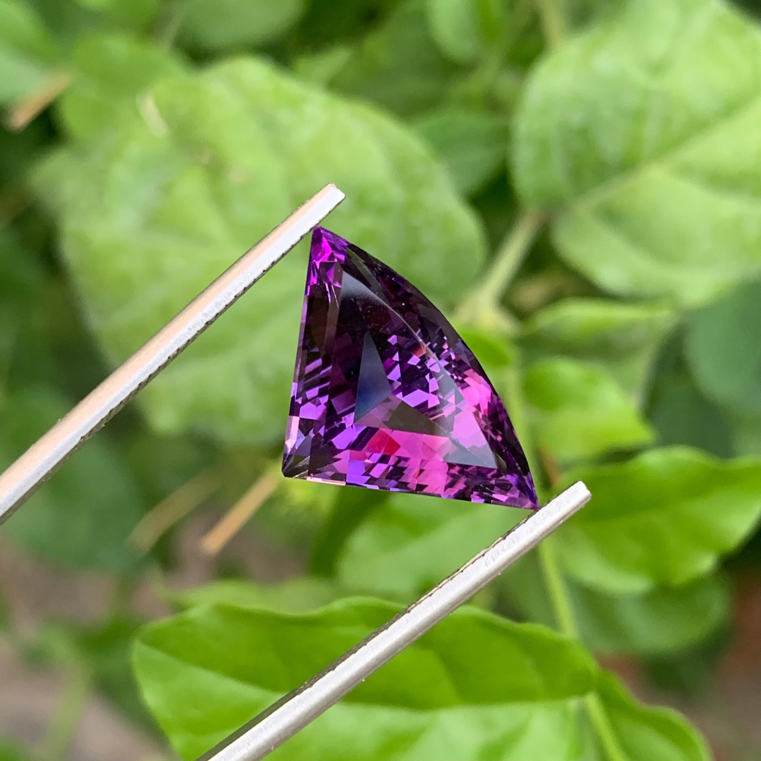9.35 Carat Natural Loose Bat Shape Amethyst Gemstone From Brazilian Mine (Améthyste en forme de chauve-souris en vrac de 9.35 carats) en vente 6