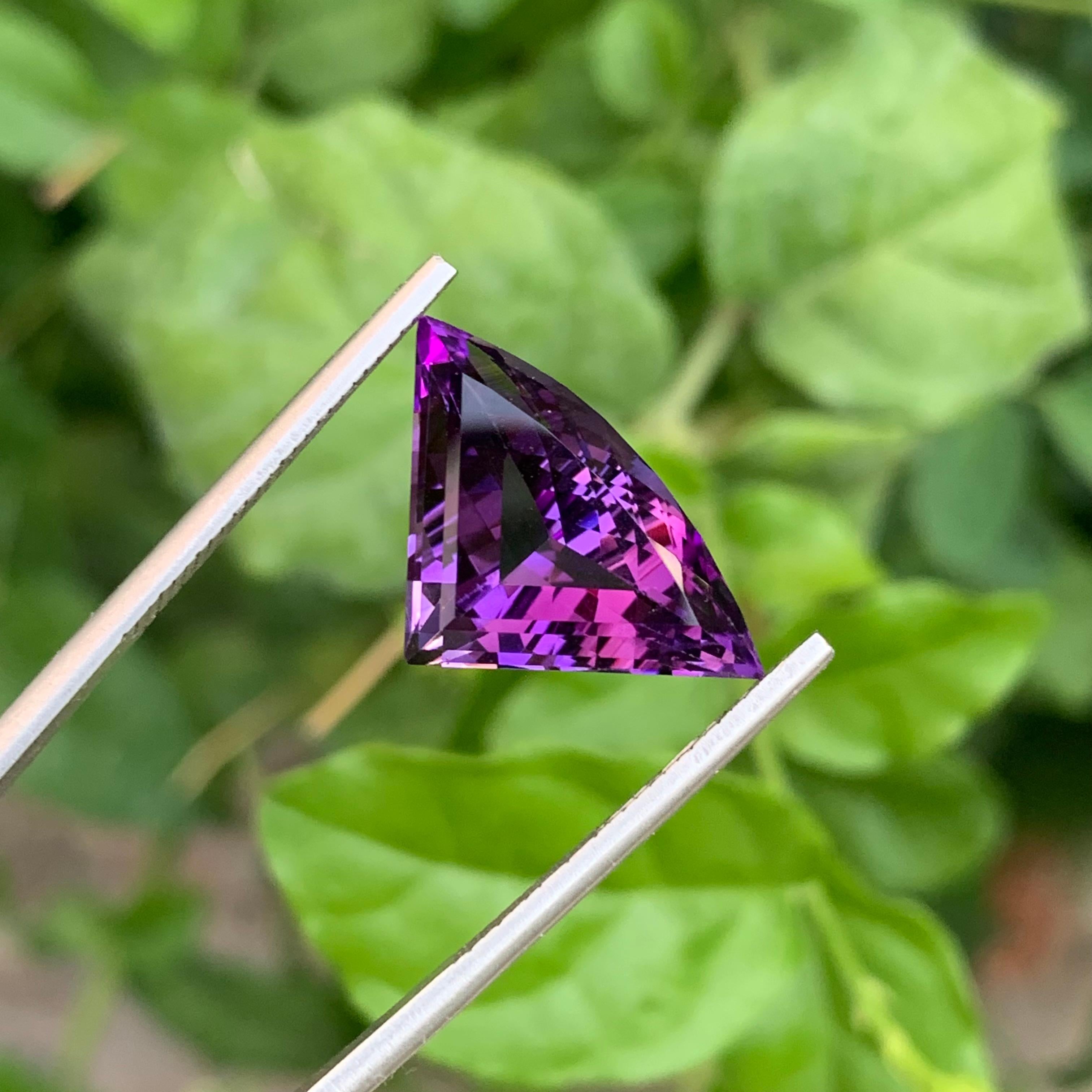 9.35 Carat Natural Loose Bat Shape Amethyst Gemstone From Brazilian Mine (Améthyste en forme de chauve-souris en vrac de 9.35 carats) en vente 1
