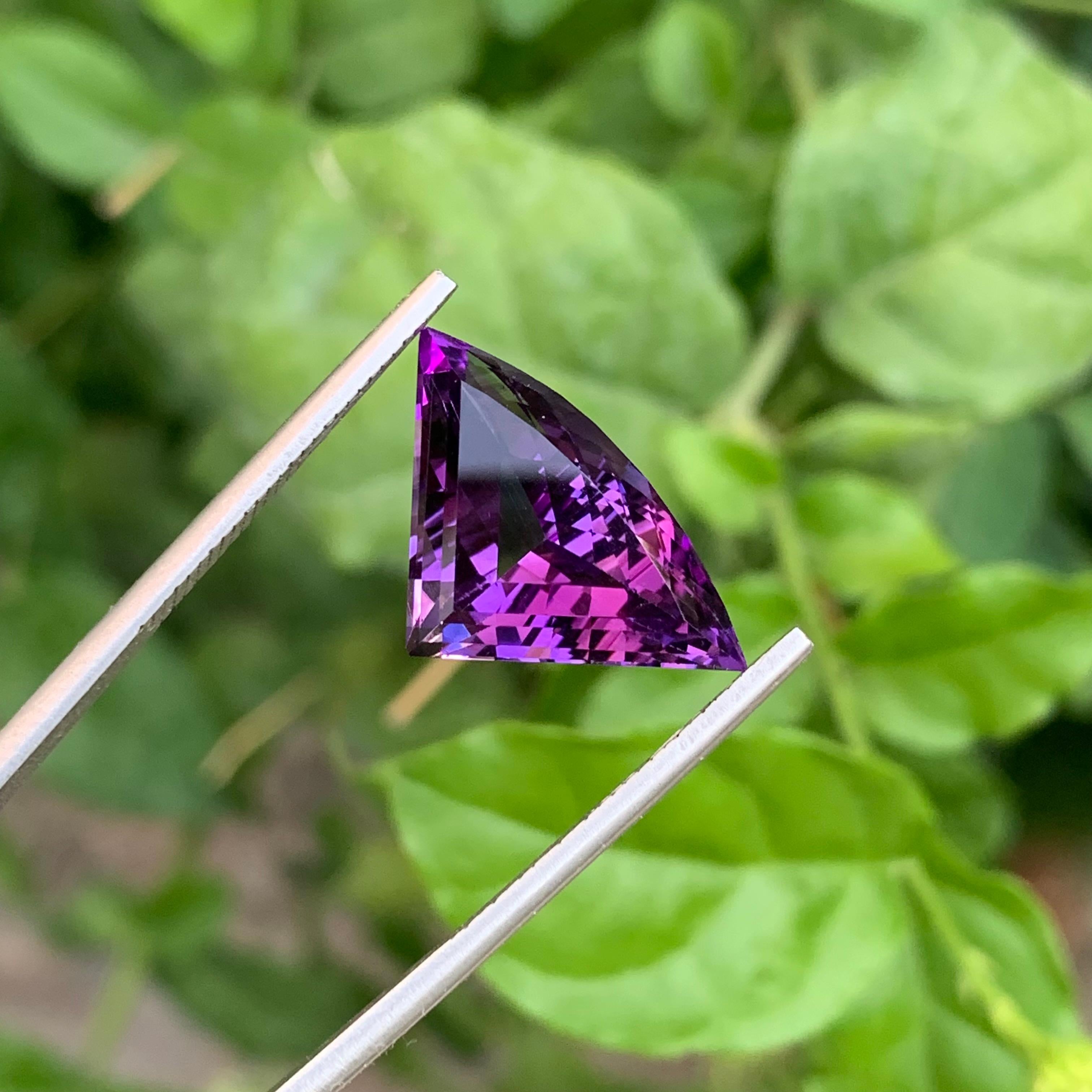 9.35 Carat Natural Loose Bat Shape Amethyst Gemstone From Brazilian Mine (Améthyste en forme de chauve-souris en vrac de 9.35 carats) en vente 2