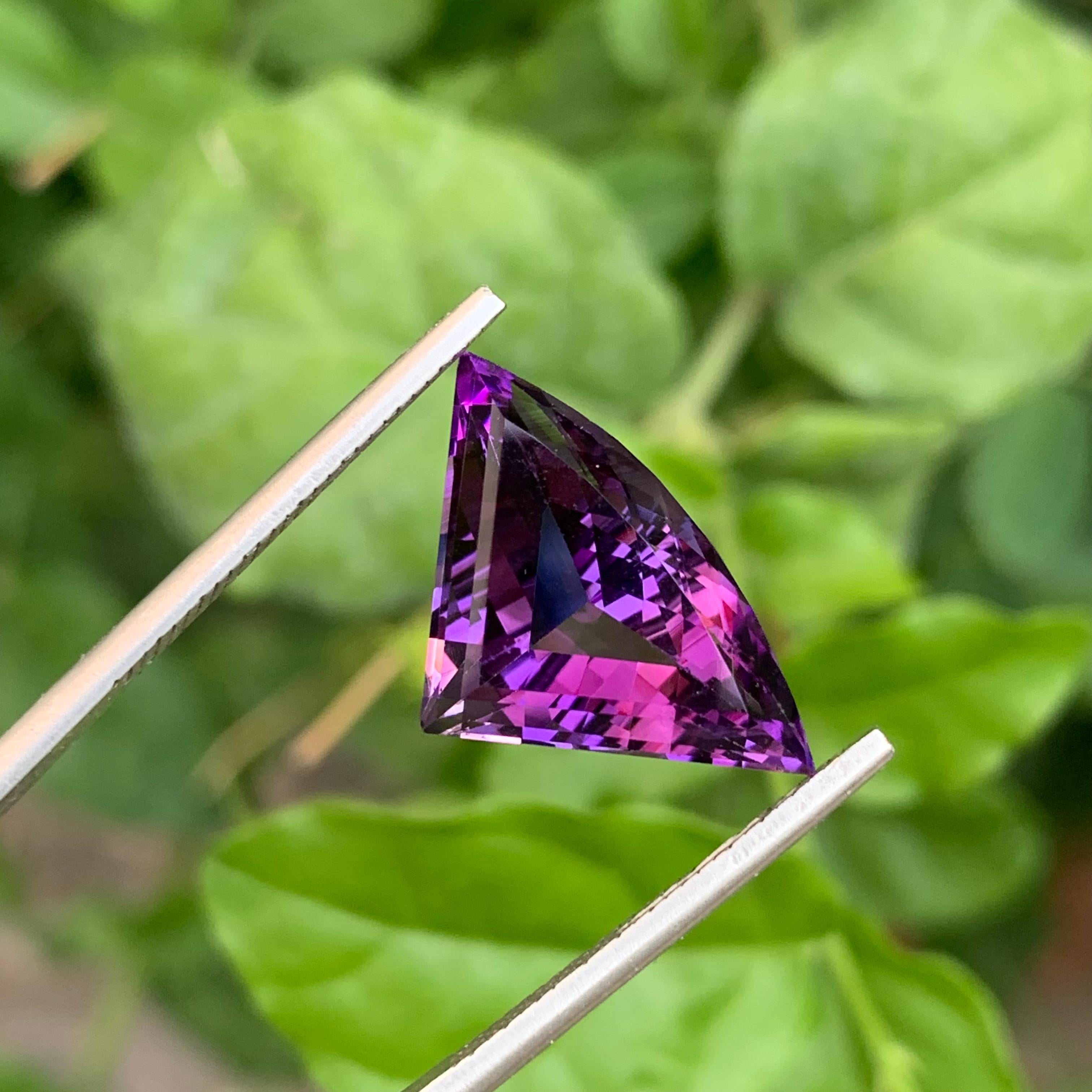 9.35 Carat Natural Loose Bat Shape Amethyst Gemstone From Brazilian Mine (Améthyste en forme de chauve-souris en vrac de 9.35 carats) en vente 3