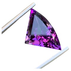 9.35 Carat Natural Loose Bat Shape Amethyst Gemstone From Brazilian Mine (Améthyste en forme de chauve-souris en vrac de 9.35 carats)