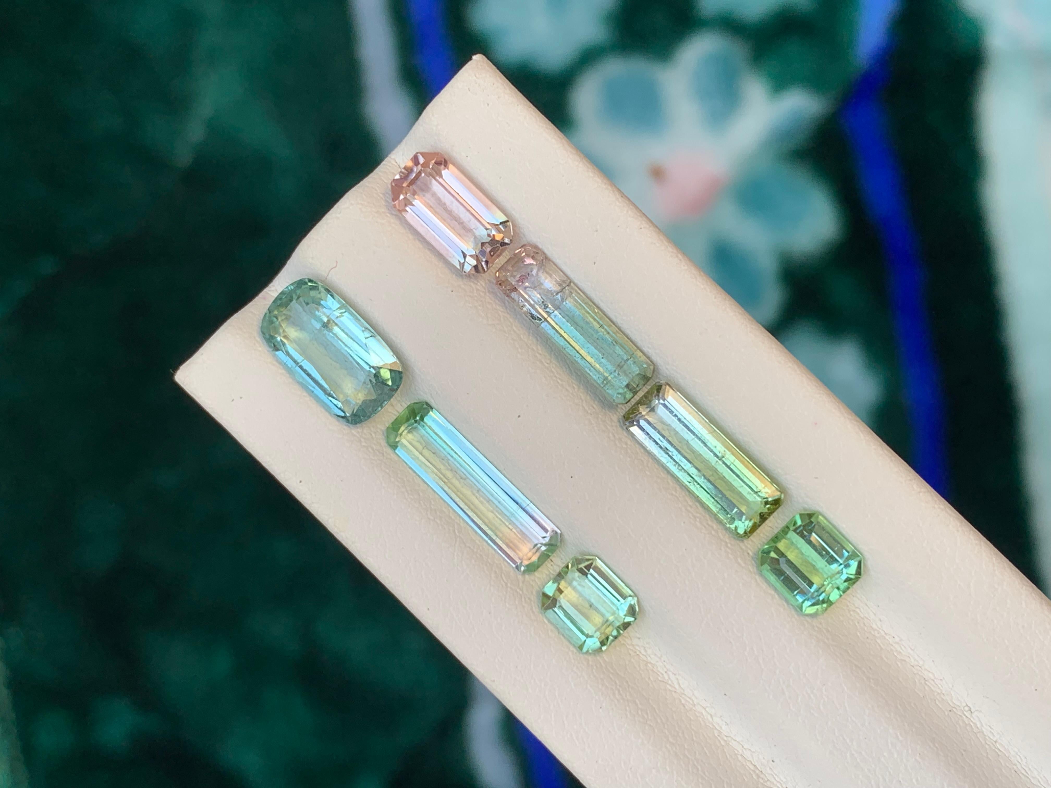 Tourmaline à facettes Lot 

Poids : 9,35 carats
Tailles : 0,80 à 1,90 carat 
Traitement : Non
Certificat : Sur demande du client
Forme : Coupe mixte 


La tourmaline est une pierre précieuse captivante connue pour sa remarquable variété de couleurs,