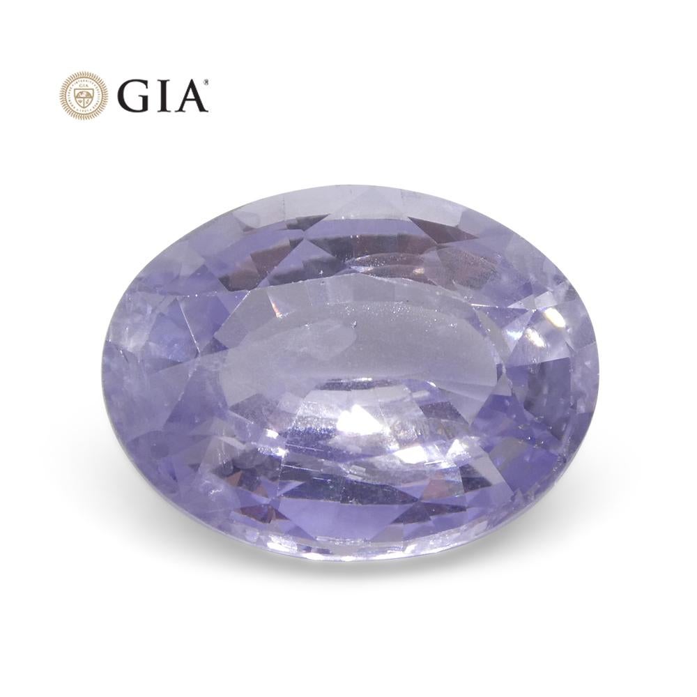 GIA-zertifizierter Sri Lanka 9,37 Karat ovaler violetter bis rosafarbener lila Saphir 13