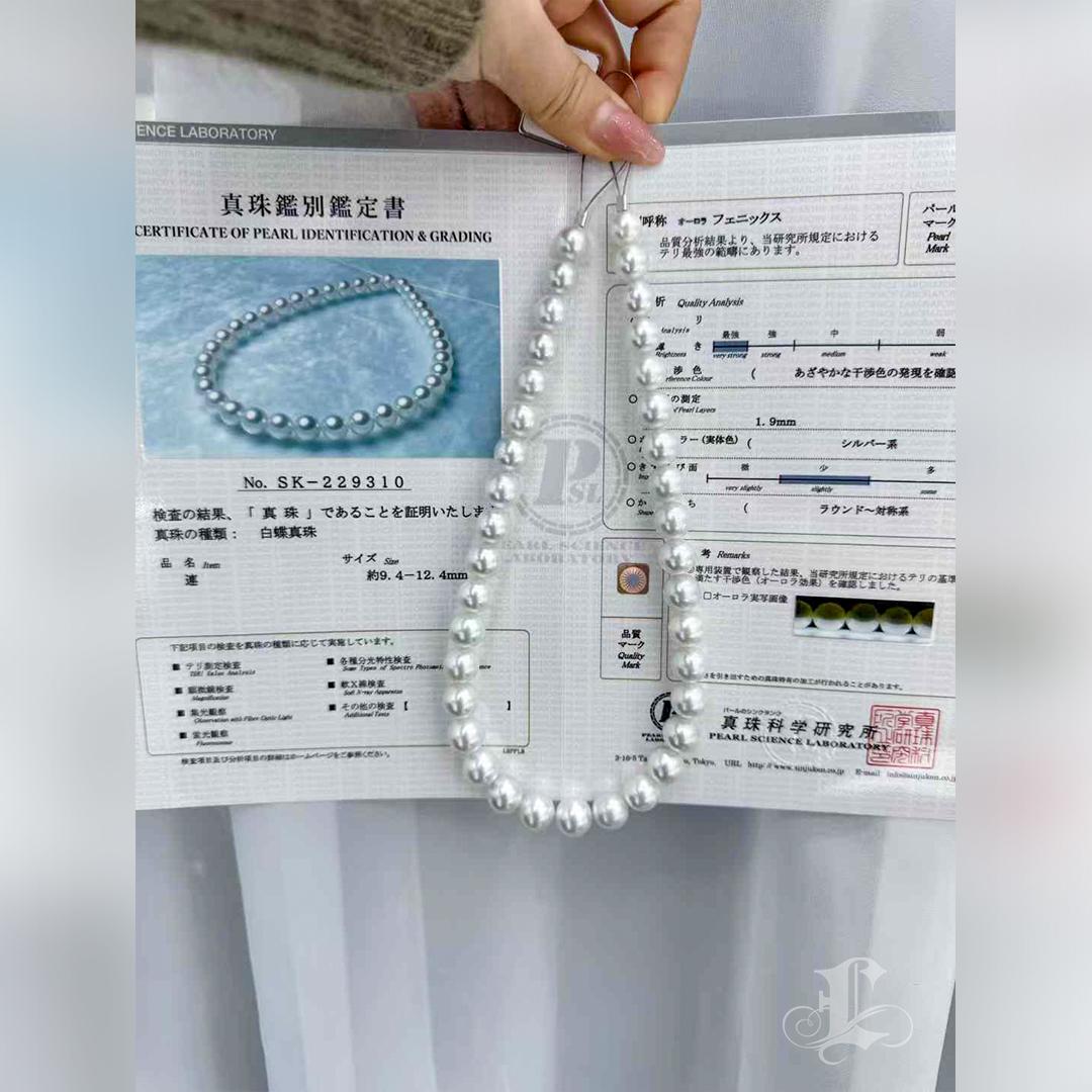 PSL PHOENIX Certificate 9.4-12.4mm South Sea Pearl Necklace 5