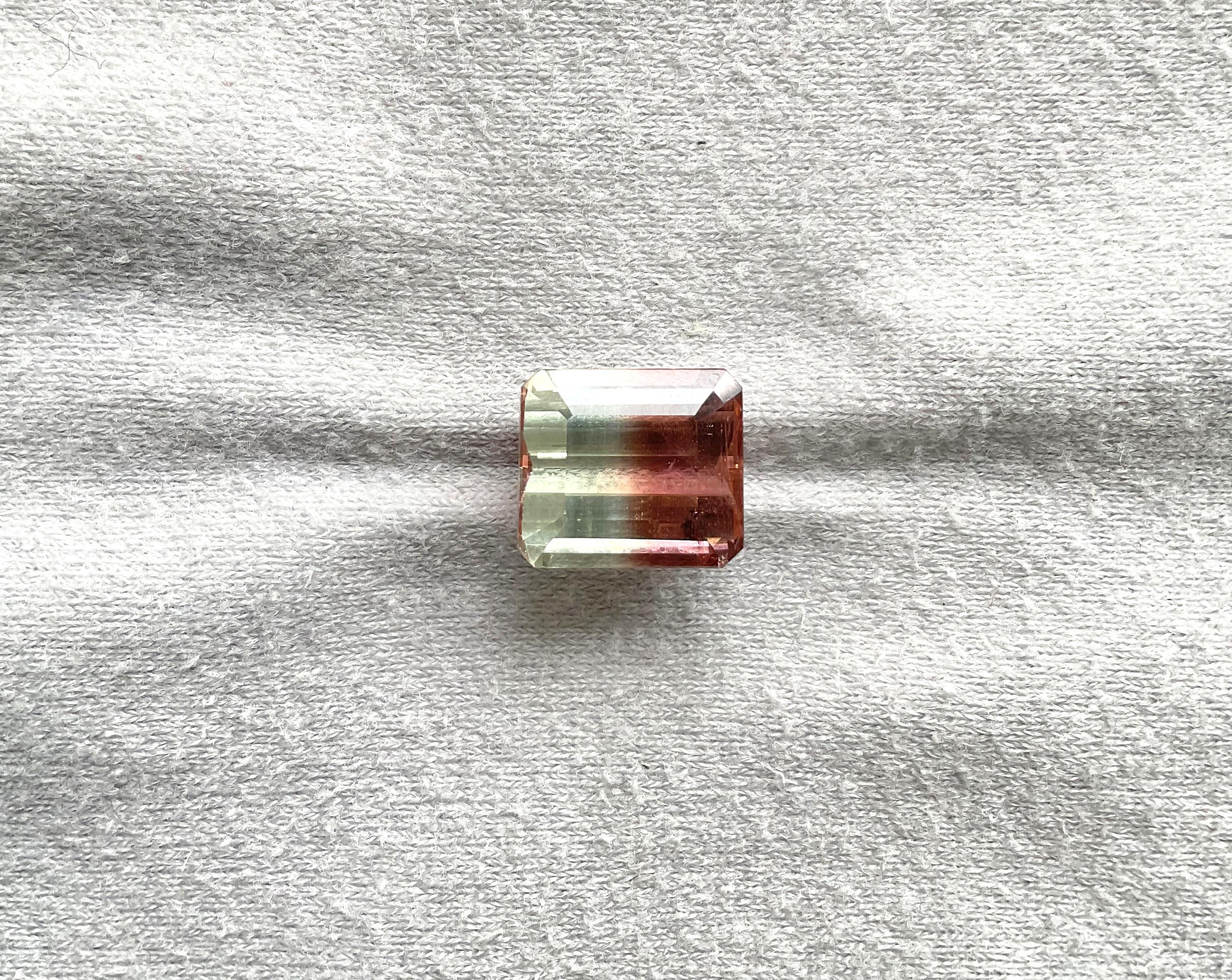 Tourmaline bicolore octogonale facettée de 9,40 carats, pierre naturelle de qualité supérieure

Pierre précieuse - Tourmaline
Poids - 9,40 carats
Taille - 12,6x11x8 mm
Forme - Pierre taillée en octogone