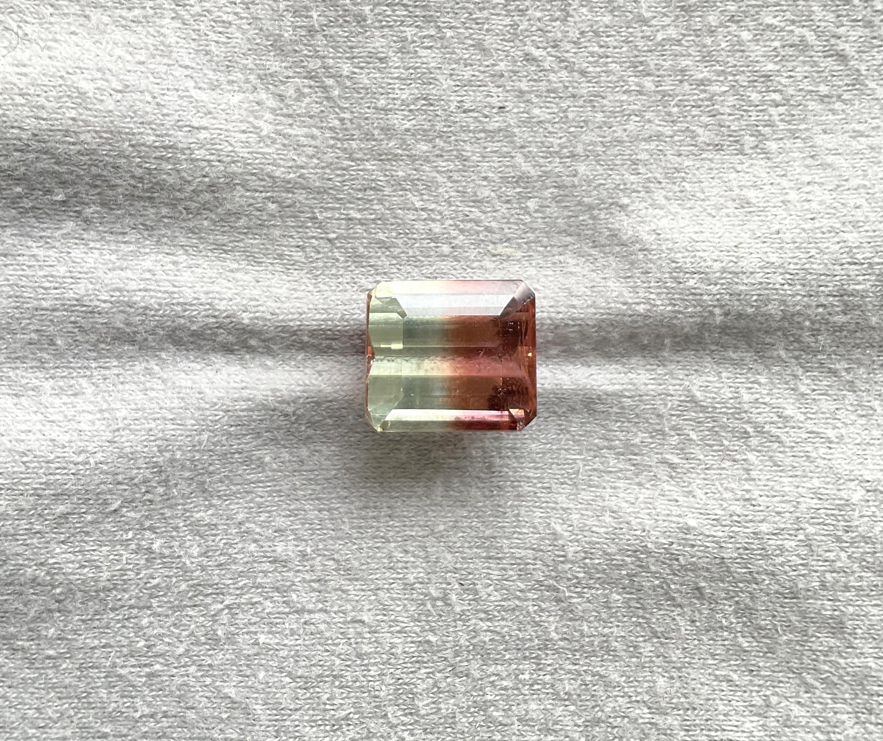 Taille octogone Tourmaline bicolore octogonale facettée de 9,40 carats, pierre naturelle de qualité supérieure en vente