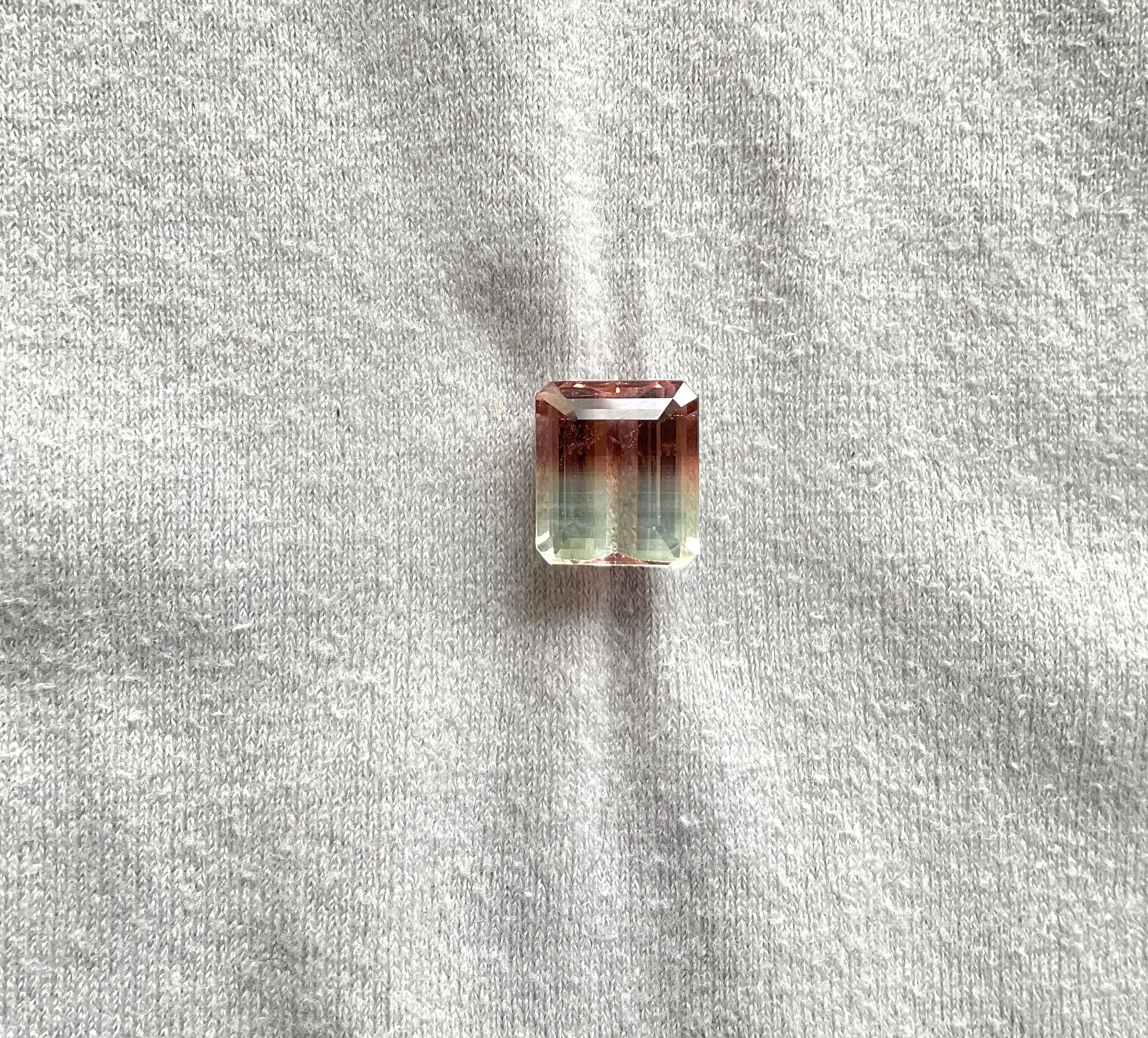 Tourmaline bicolore octogonale facettée de 9,40 carats, pierre naturelle de qualité supérieure Neuf - En vente à Jaipur, RJ