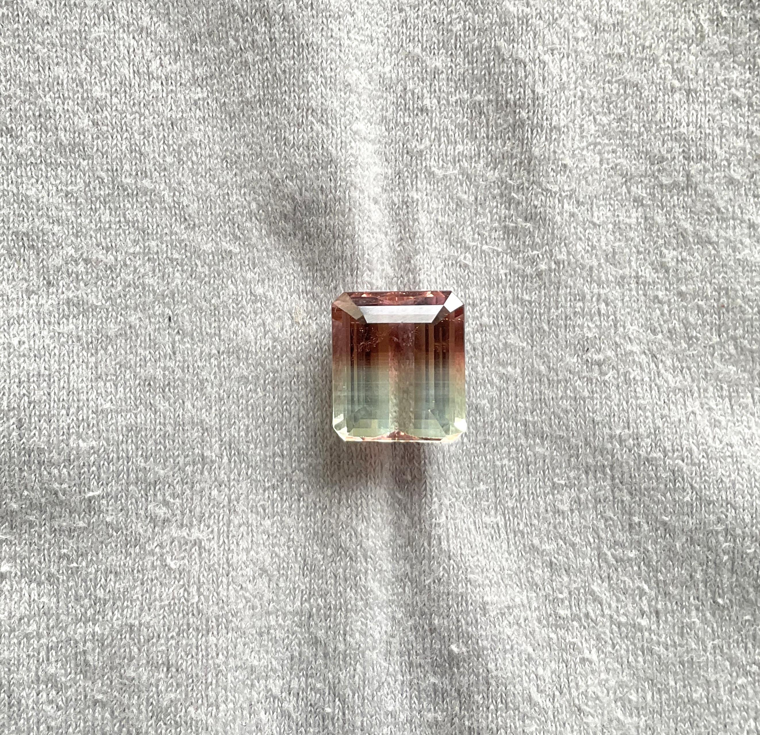 Tourmaline bicolore octogonale facettée de 9,40 carats, pierre naturelle de qualité supérieure Unisexe en vente