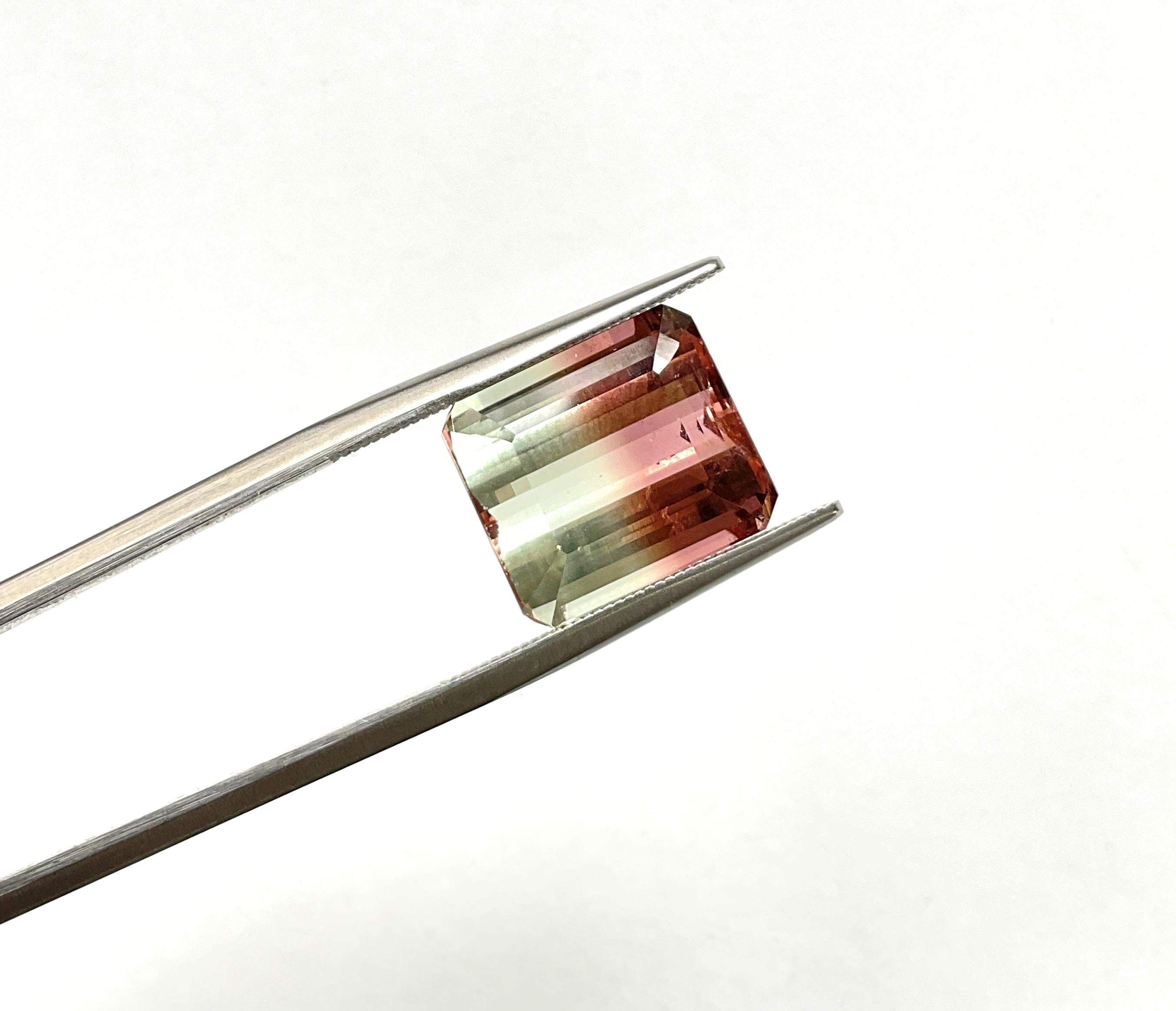 Tourmaline bicolore octogonale facettée de 9,40 carats, pierre naturelle de qualité supérieure en vente 1