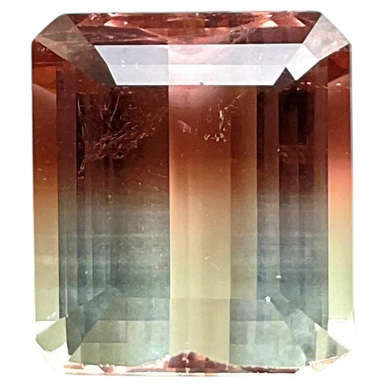 9,40 Carati Tormalina Bi colore Ottagono sfaccettato Top Quality Cutstone Gemma Naturale