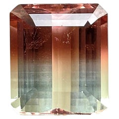 9,40 Quilates Turmalina Bicolor Octágono Facetado Piedra tallada de primera calidad Gema natural