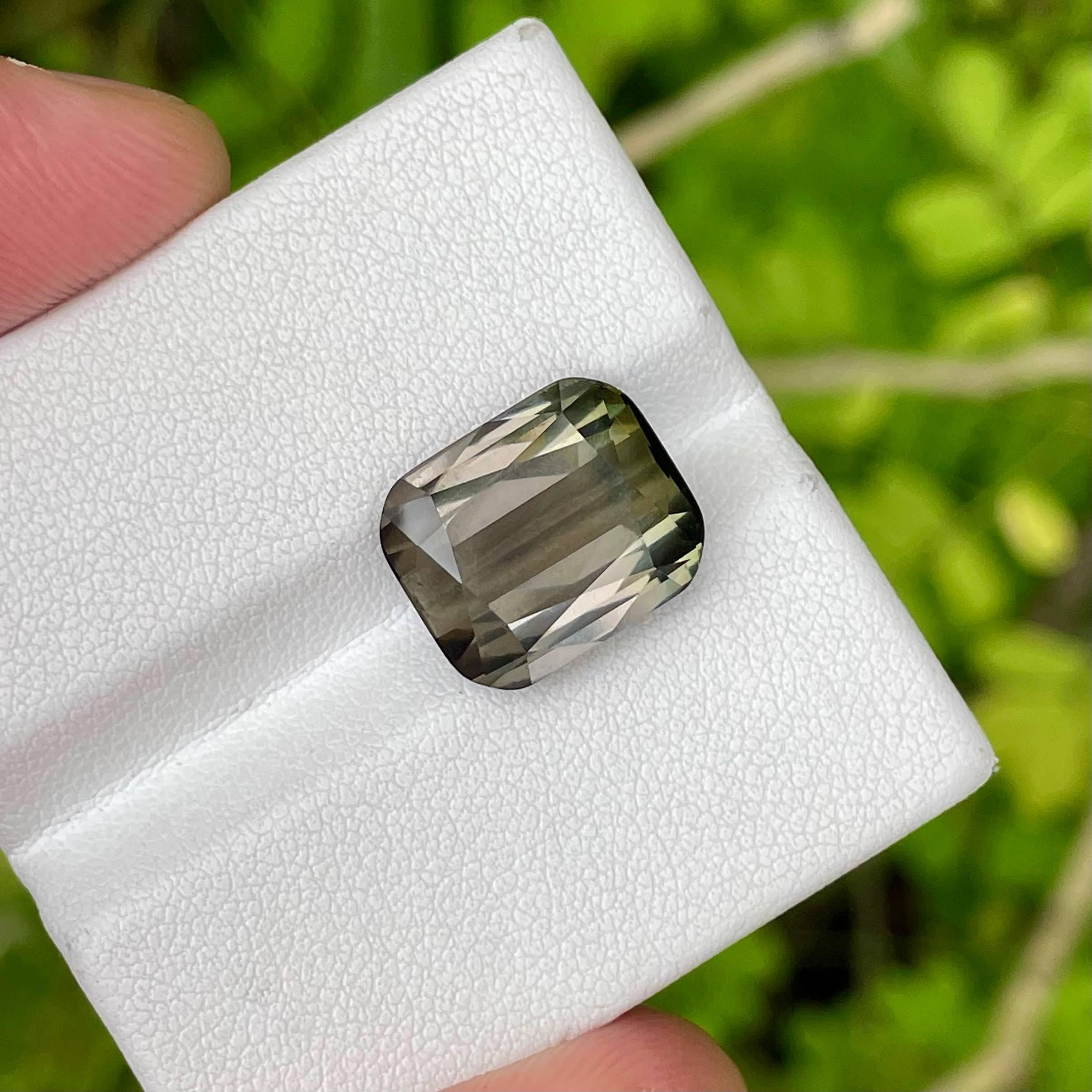 Moderne Pierre tourmaline bicolore taille coussin de 9,43 carats en vente