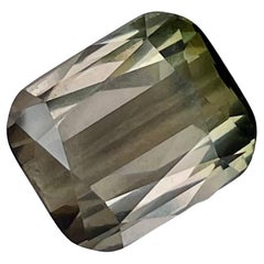 Pierre tourmaline bicolore taille coussin de 9,43 carats