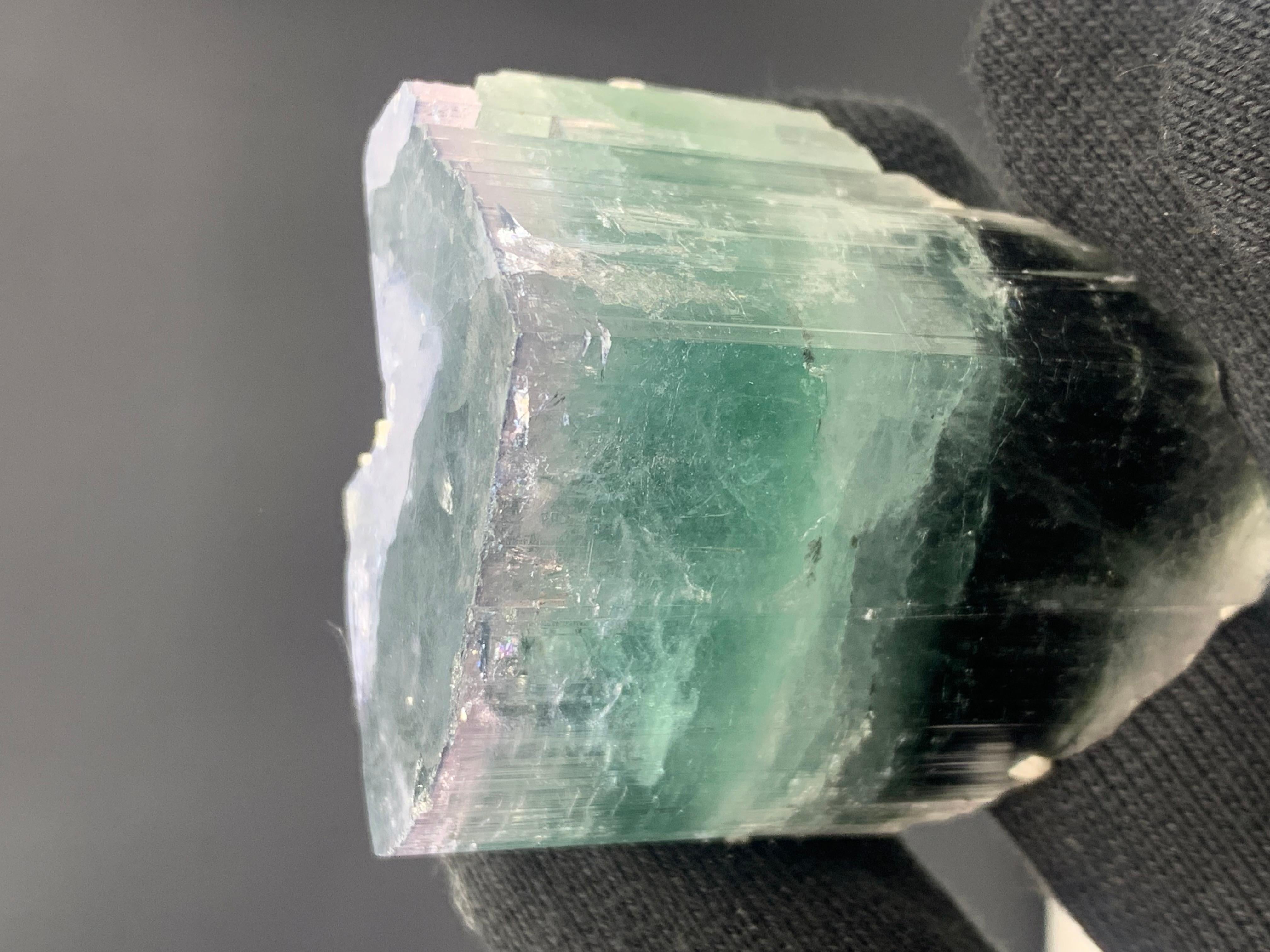 Superbe cristal de tourmaline tricolore provenant d'Afghanistan, 94.68 grammes en vente 3