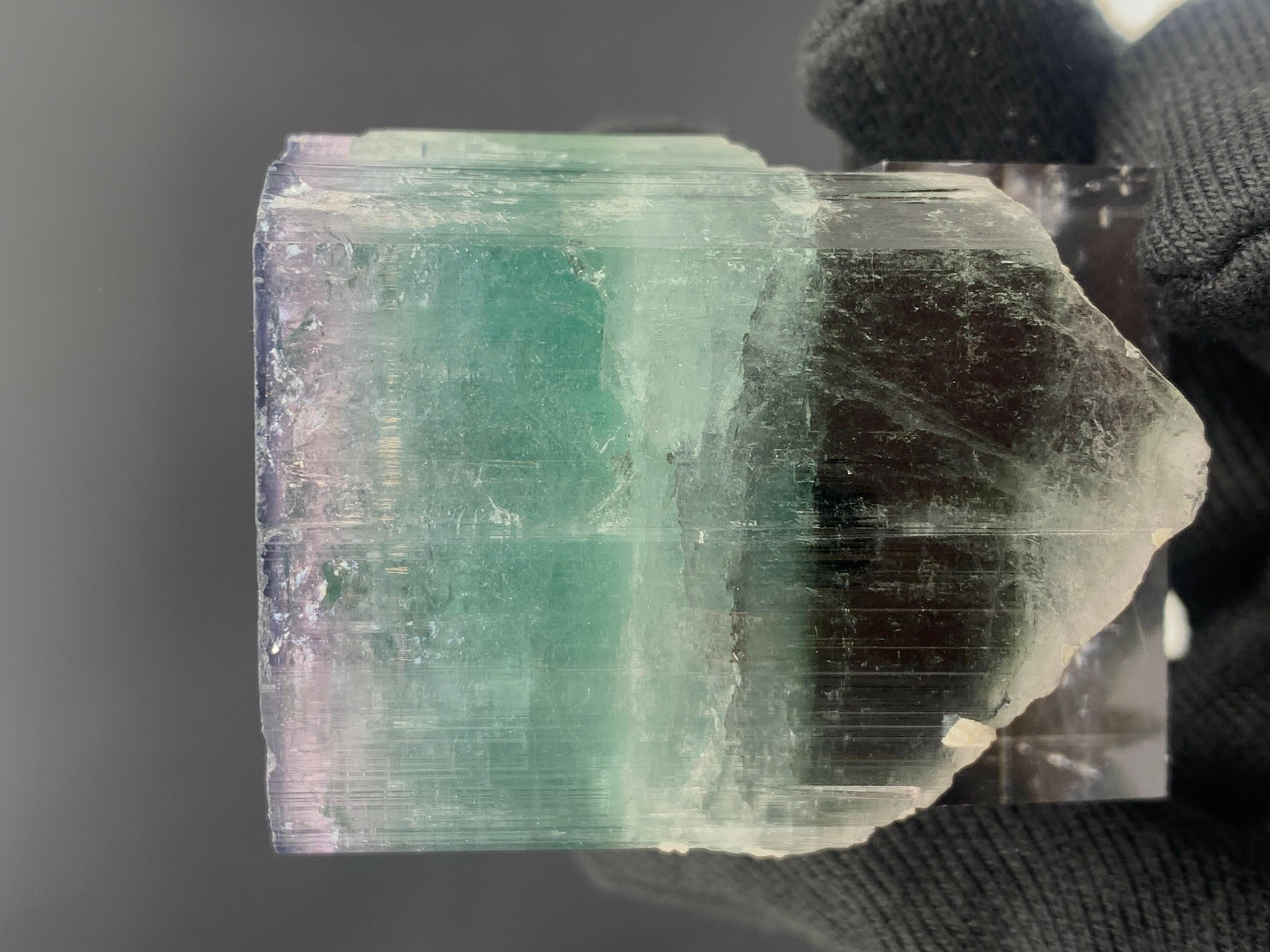 Superbe cristal de tourmaline tricolore provenant d'Afghanistan, 94.68 grammes en vente 4