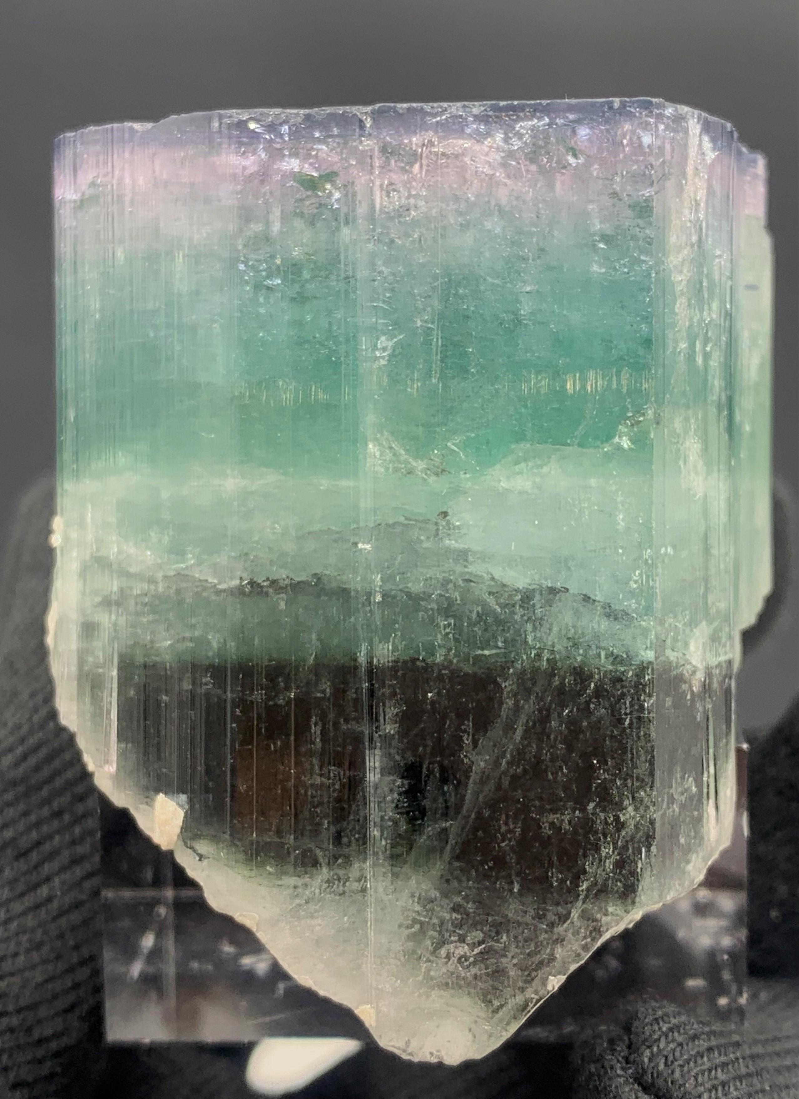 94.68 gramos de precioso cristal de turmalina tricolor de Afganistán Estilo Adán en venta