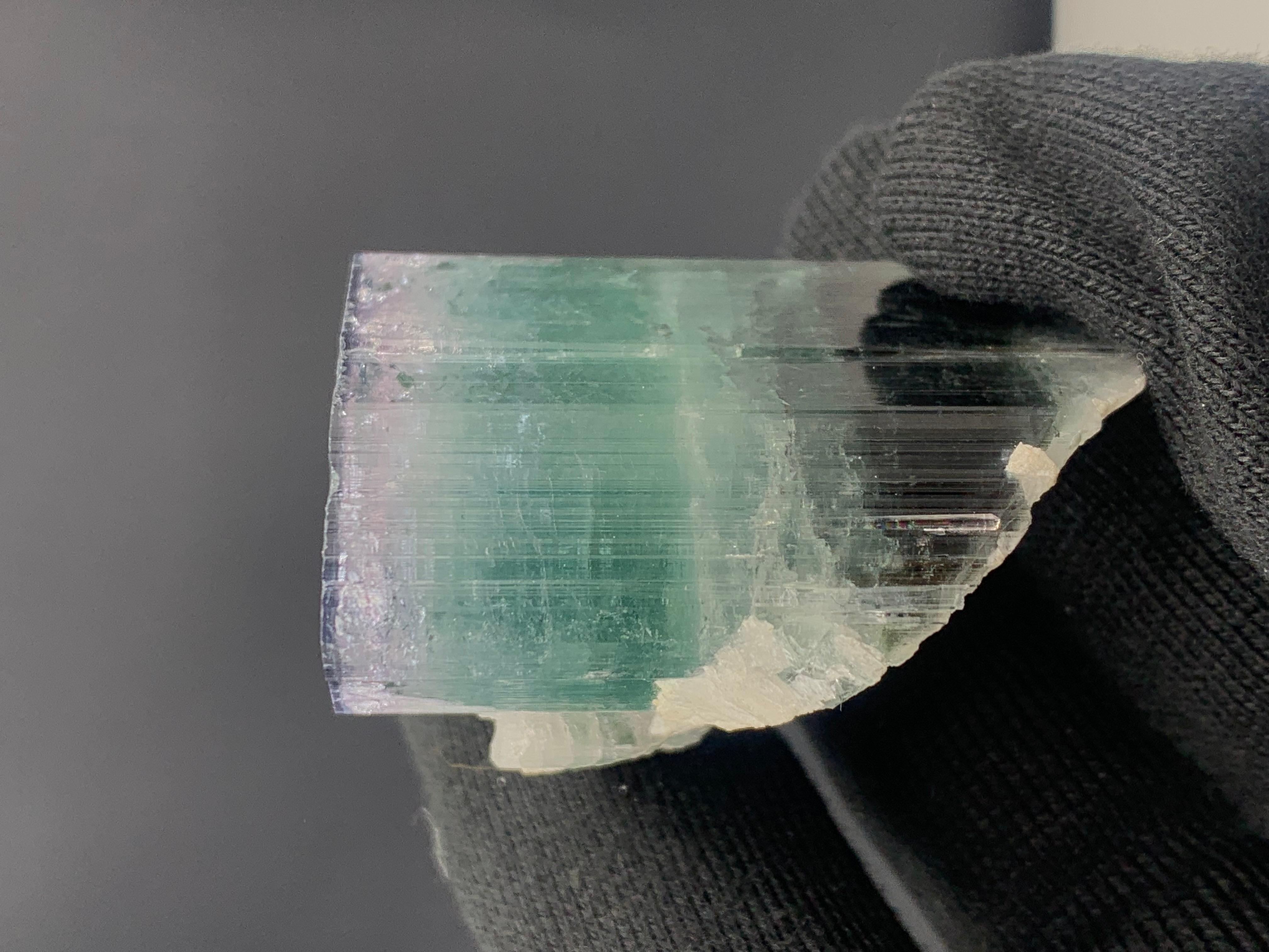 Autre Superbe cristal de tourmaline tricolore provenant d'Afghanistan, 94.68 grammes en vente