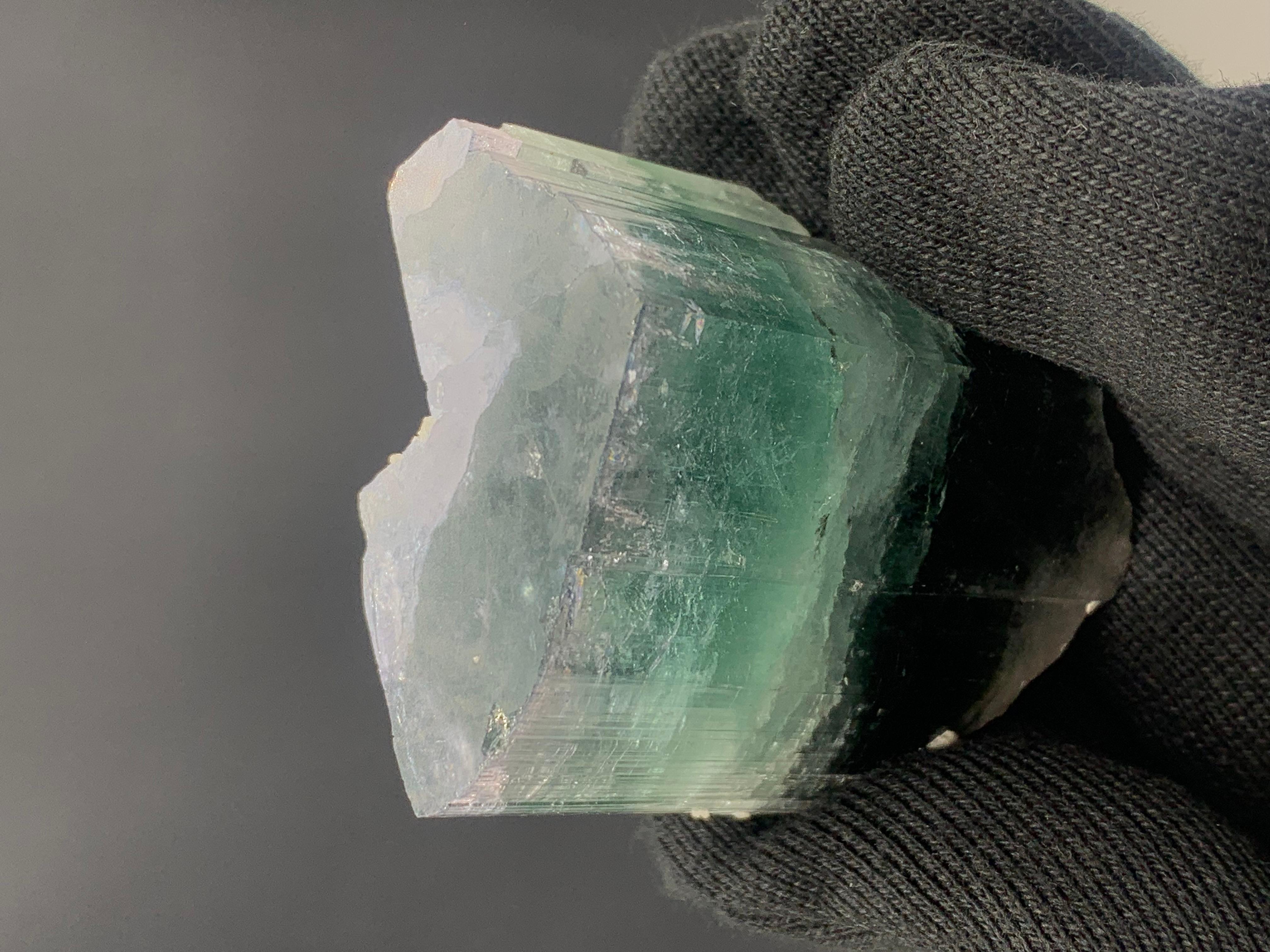 XVIIIe siècle et antérieur Superbe cristal de tourmaline tricolore provenant d'Afghanistan, 94.68 grammes en vente