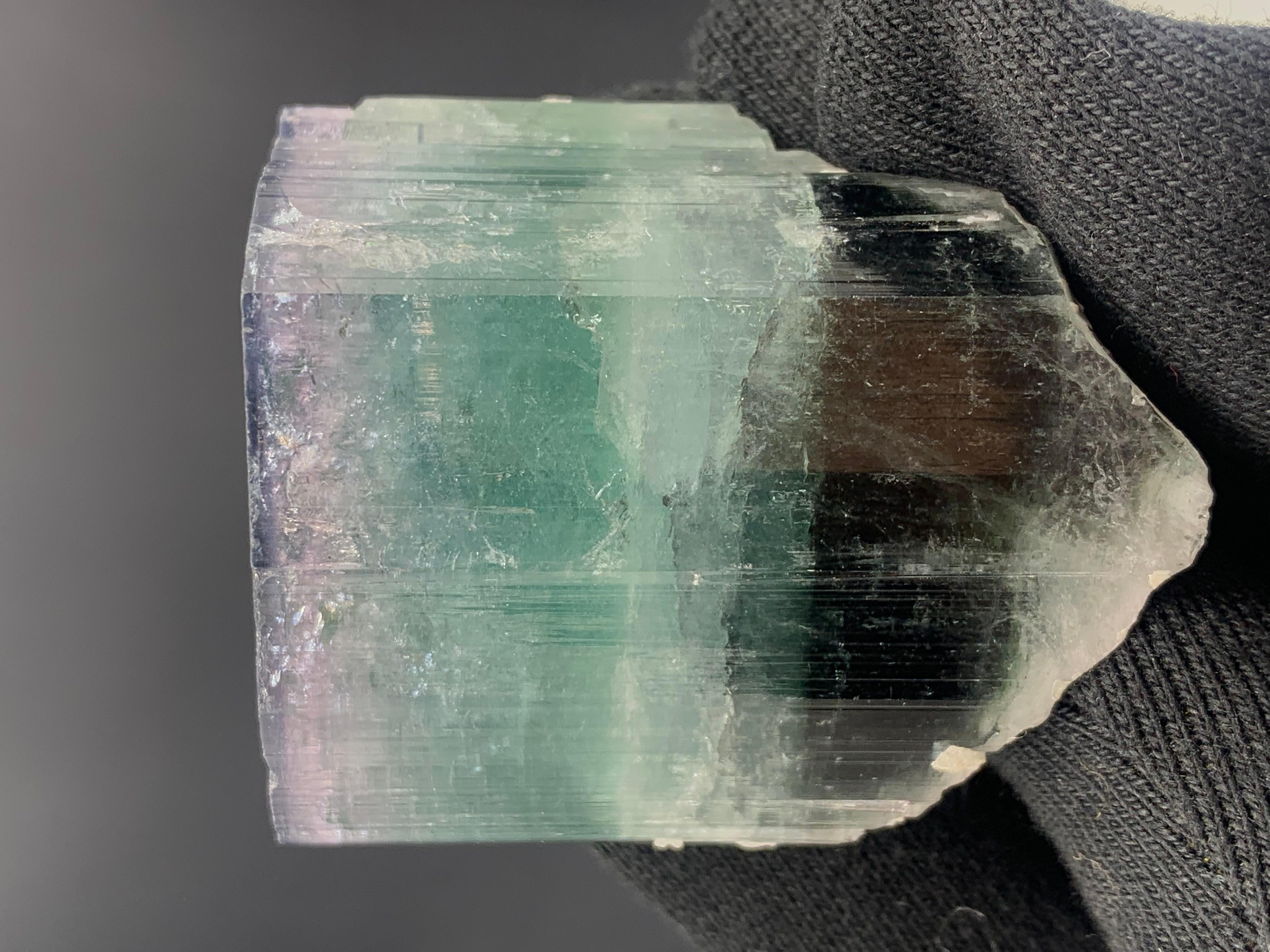 Cristal de roche Superbe cristal de tourmaline tricolore provenant d'Afghanistan, 94.68 grammes en vente