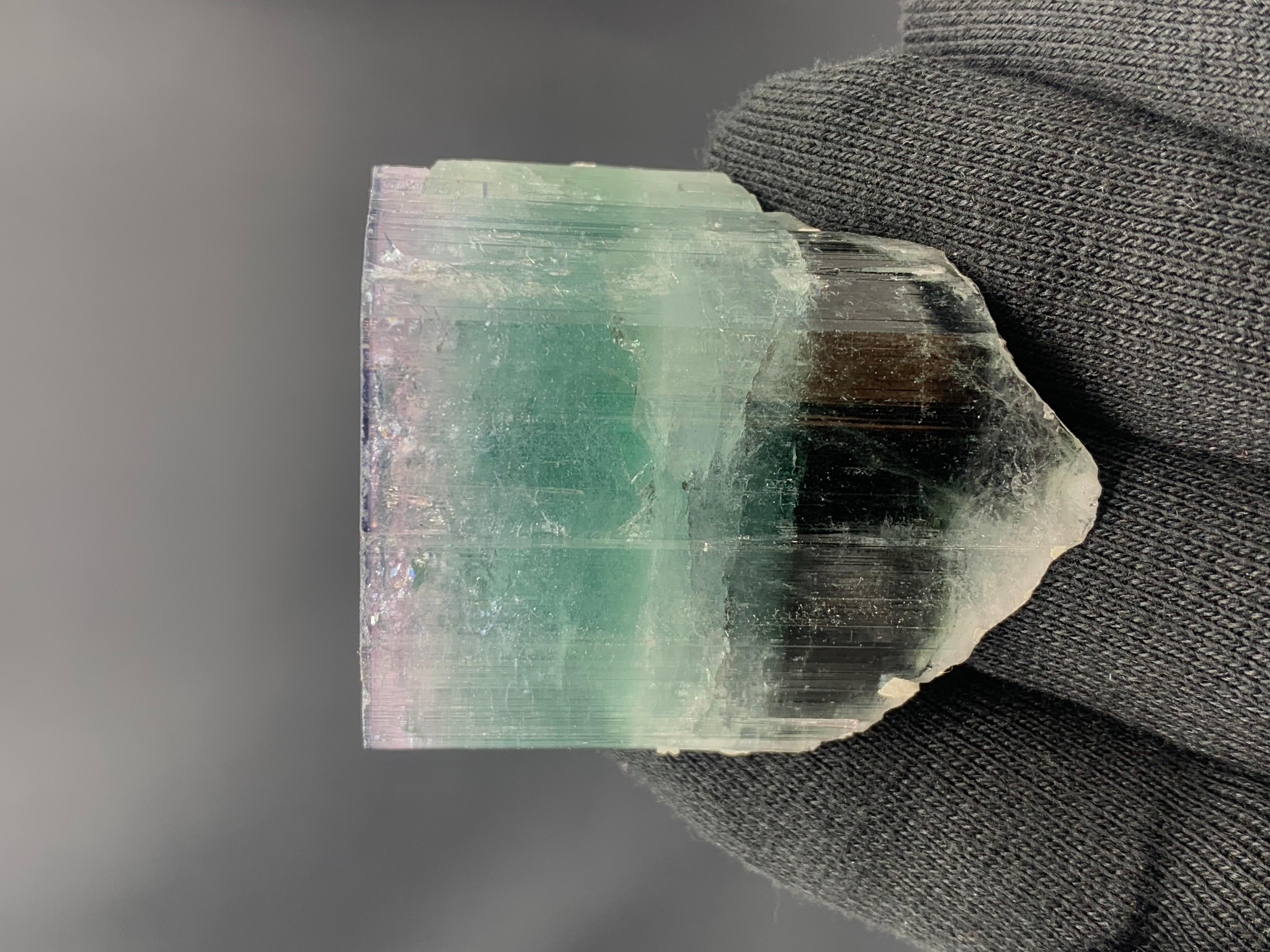 Superbe cristal de tourmaline tricolore provenant d'Afghanistan, 94.68 grammes en vente 1