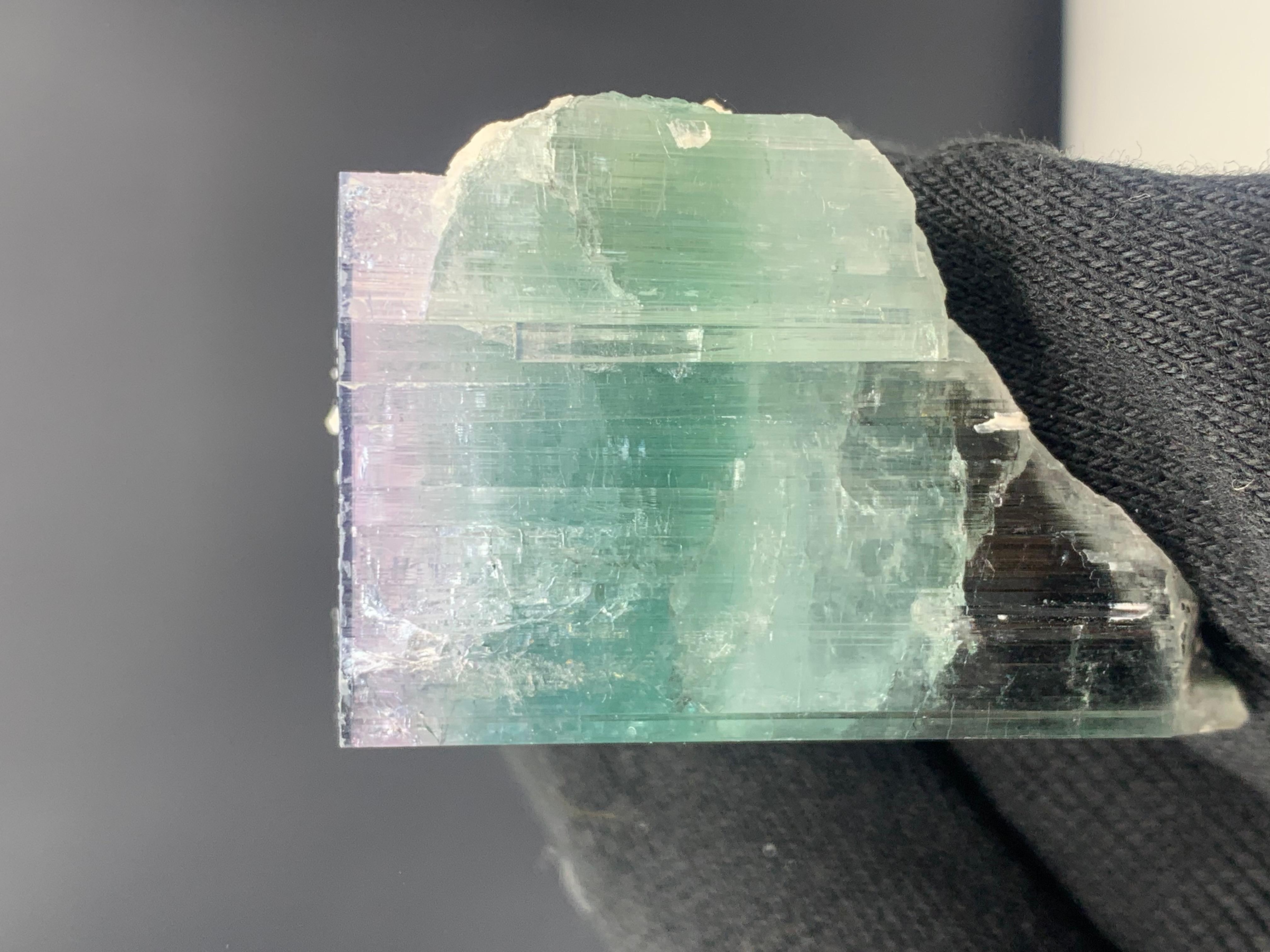 Superbe cristal de tourmaline tricolore provenant d'Afghanistan, 94.68 grammes en vente 2