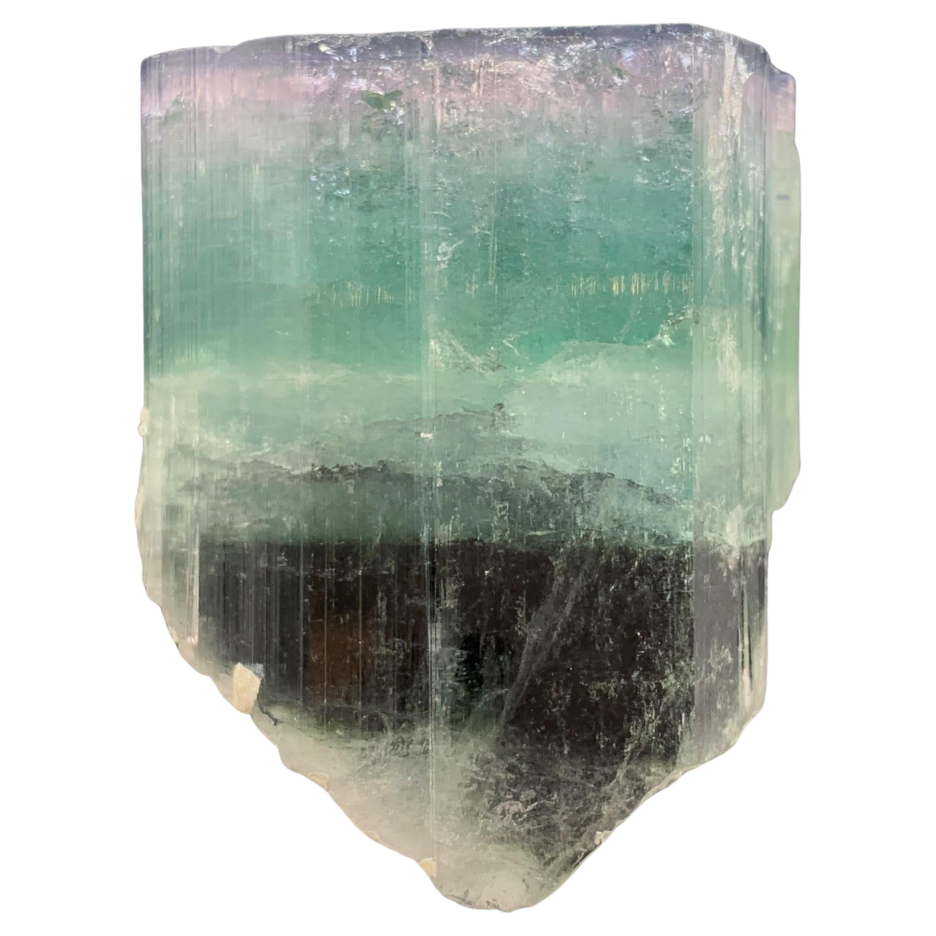 Superbe cristal de tourmaline tricolore provenant d'Afghanistan, 94.68 grammes