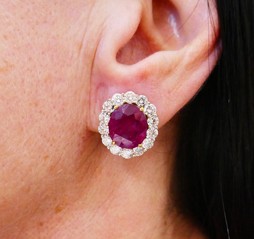 burmese ruby earrings