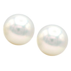 9.5-10mm South Sea Pearl Stud Earrings with 14 Karat White Gold Post and Back