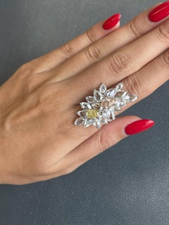 9.54 Carat Yellow, Pink Diamond and Rose-Cut diamond Cluster Ring GIA Certs.