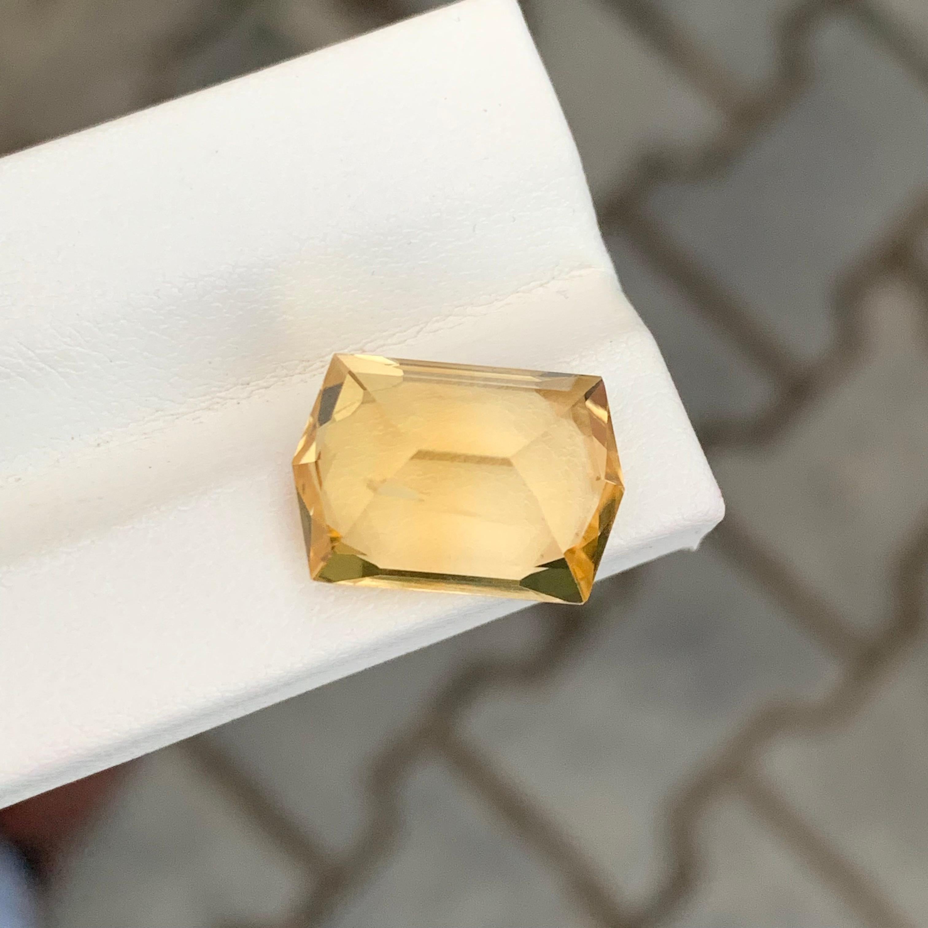 9,55 Karat Natürlicher loser Citrin Hexagon-Schliff Edelstein für Damen oder Herren im Angebot