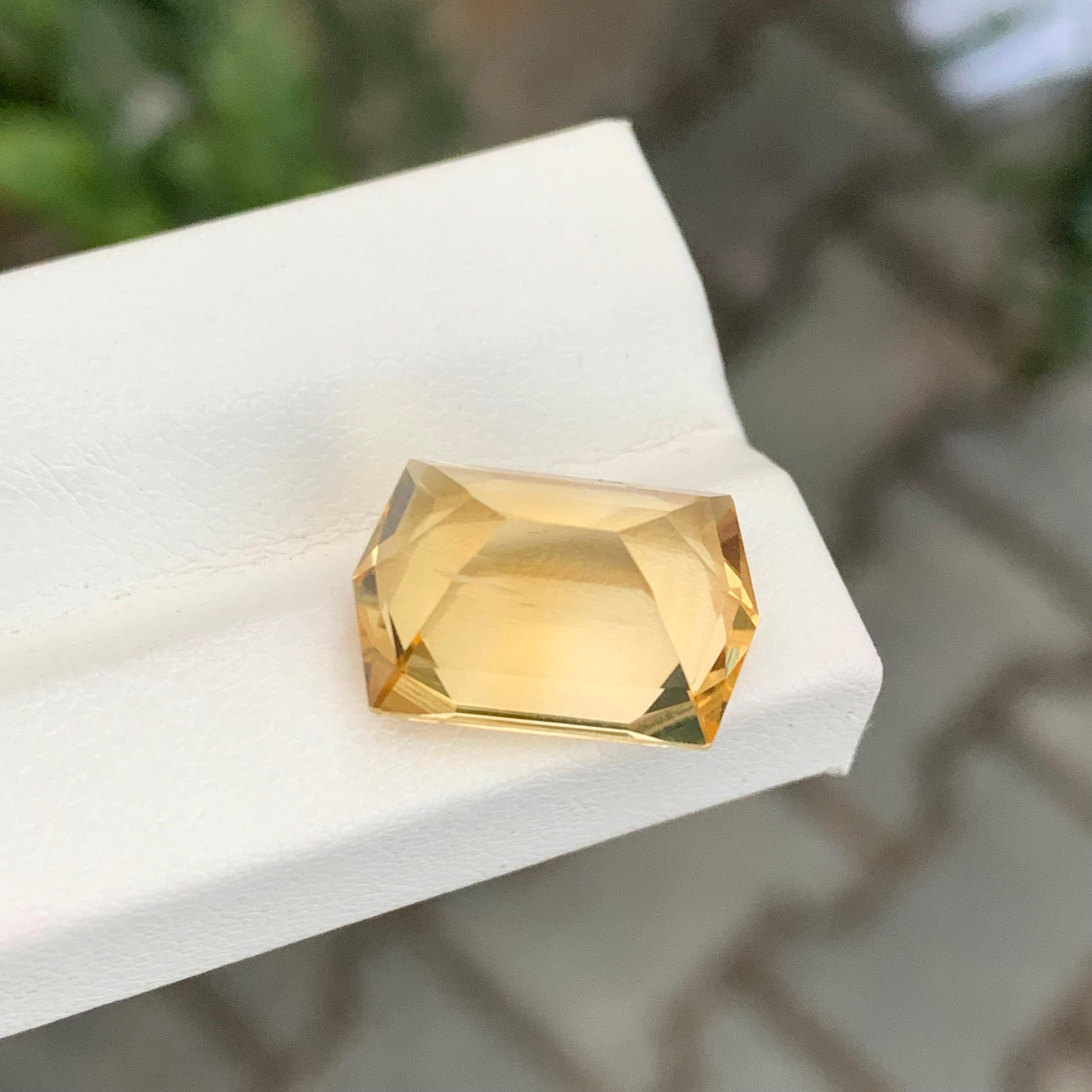 9,55 Karat Natürlicher loser Citrin Hexagon-Schliff Edelstein im Angebot 3