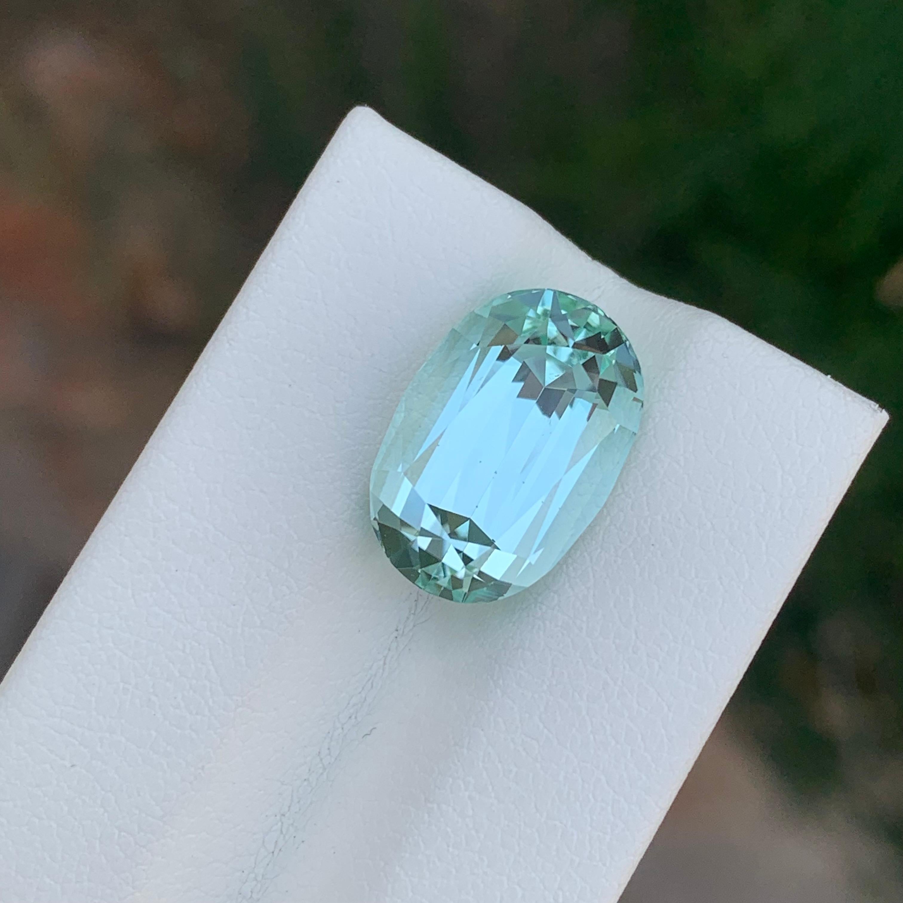 9.65 Carat Natural Loose Seafoam Tourmaline Oval Shape Gemstone (pierre précieuse de forme ovale) en vente 6