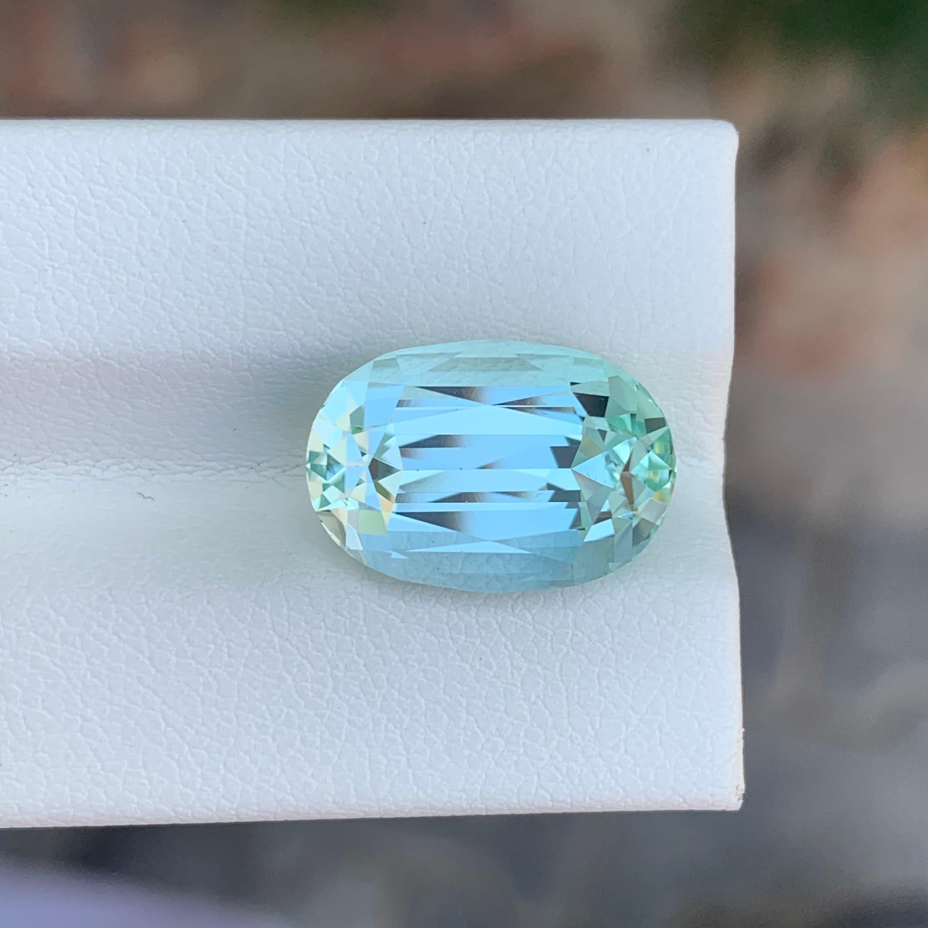 9.65 Carat Natural Loose Seafoam Tourmaline Oval Shape Gemstone (pierre précieuse de forme ovale) en vente 7