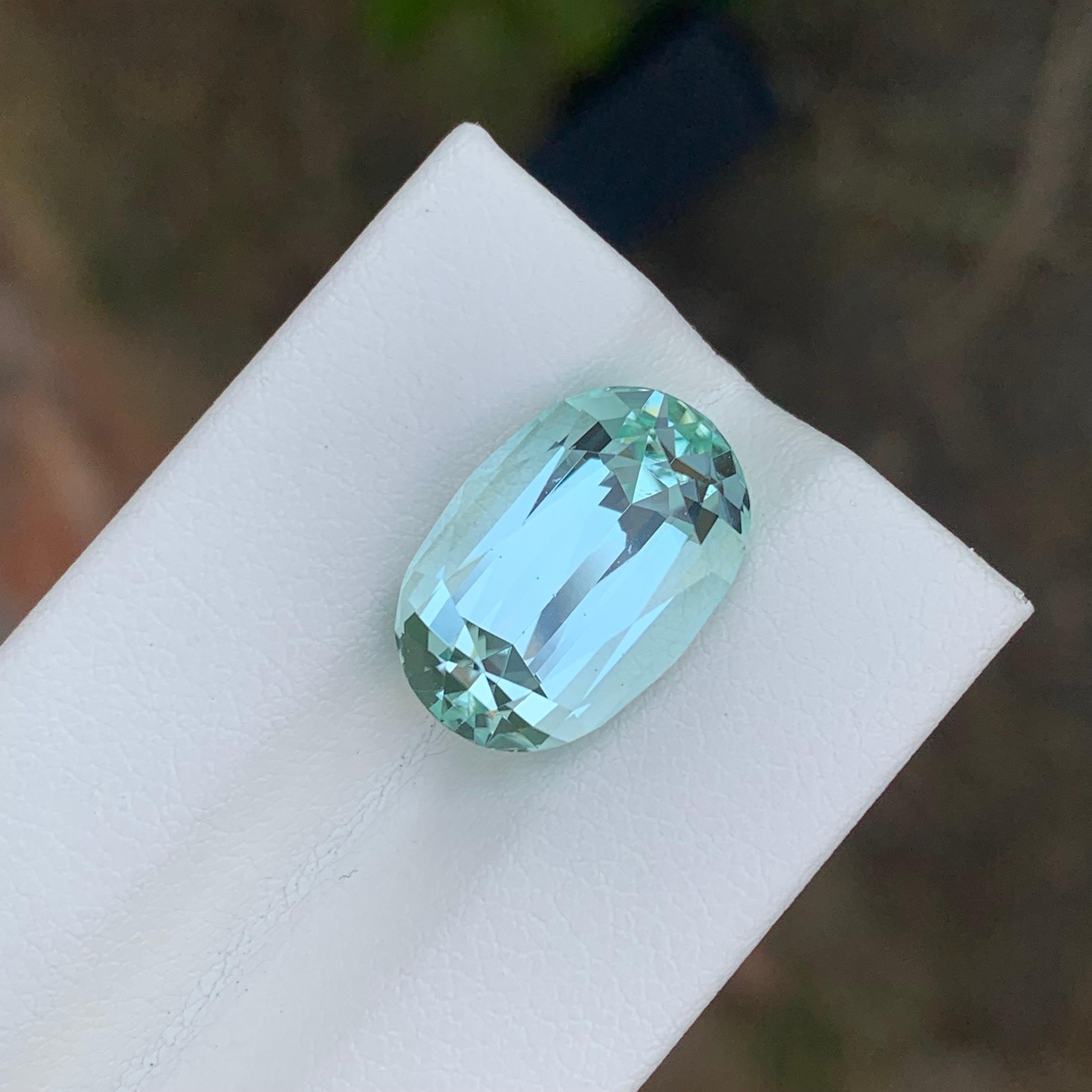9.65 Carat Natural Loose Seafoam Tourmaline Oval Shape Gemstone (pierre précieuse de forme ovale) en vente 1