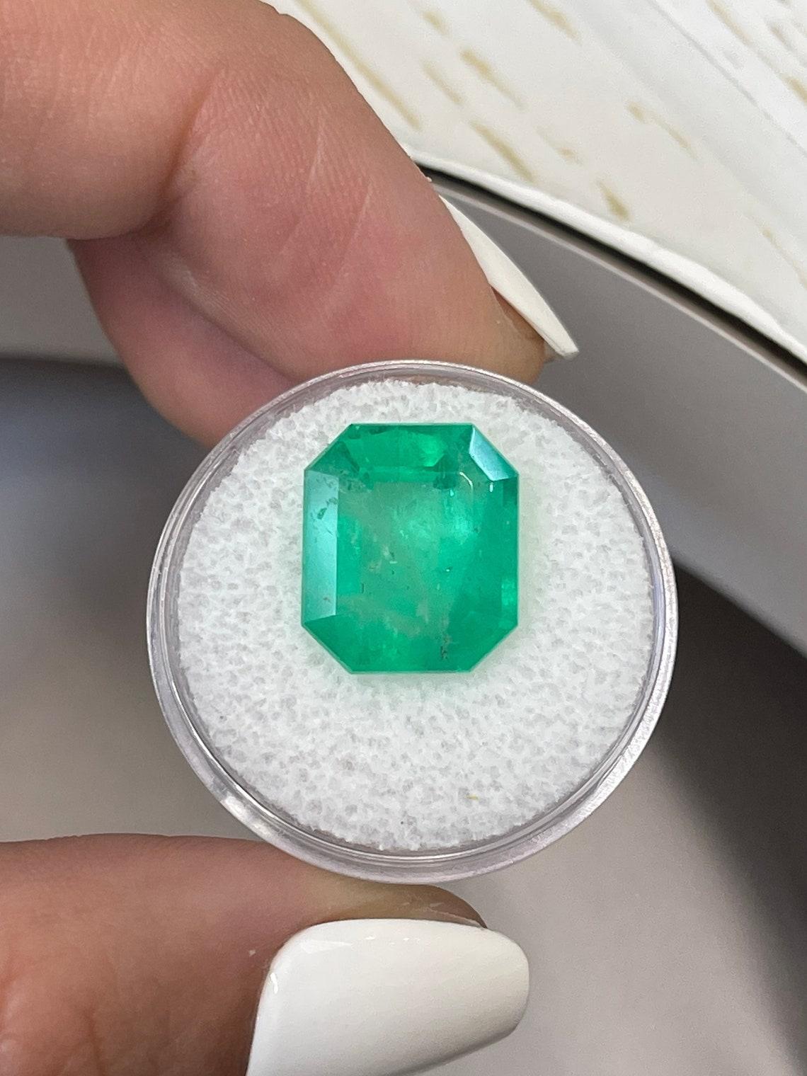 9,66 Karat 14x12 mittelgrüner kolumbianischer Smaragd - Smaragdschliff Mai-Geburtsstein Edelstein im Zustand „Neu“ im Angebot in Jupiter, FL